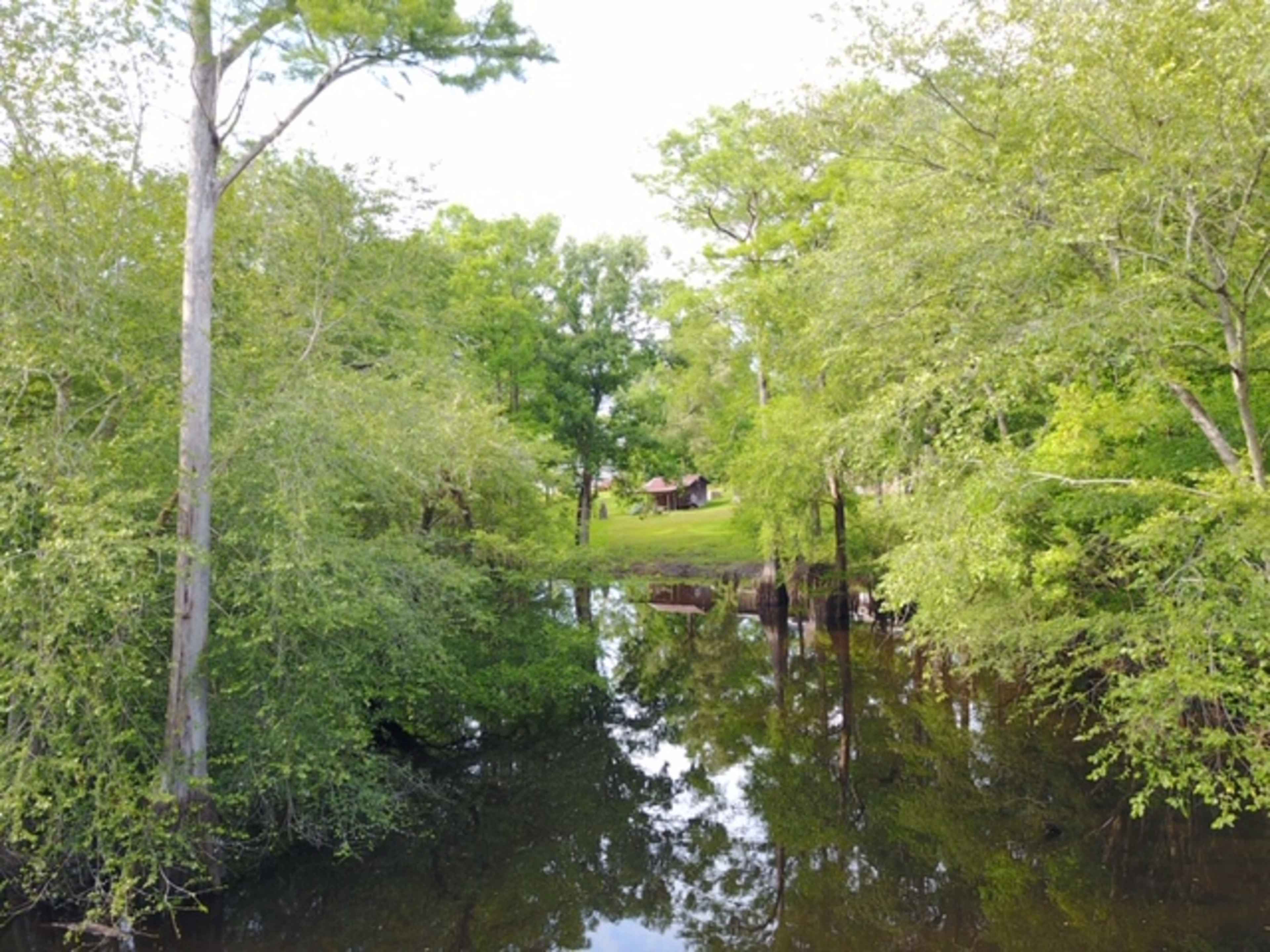 A small cabin is visible through lush greenery along the edge of a calm, reflective waterway.
