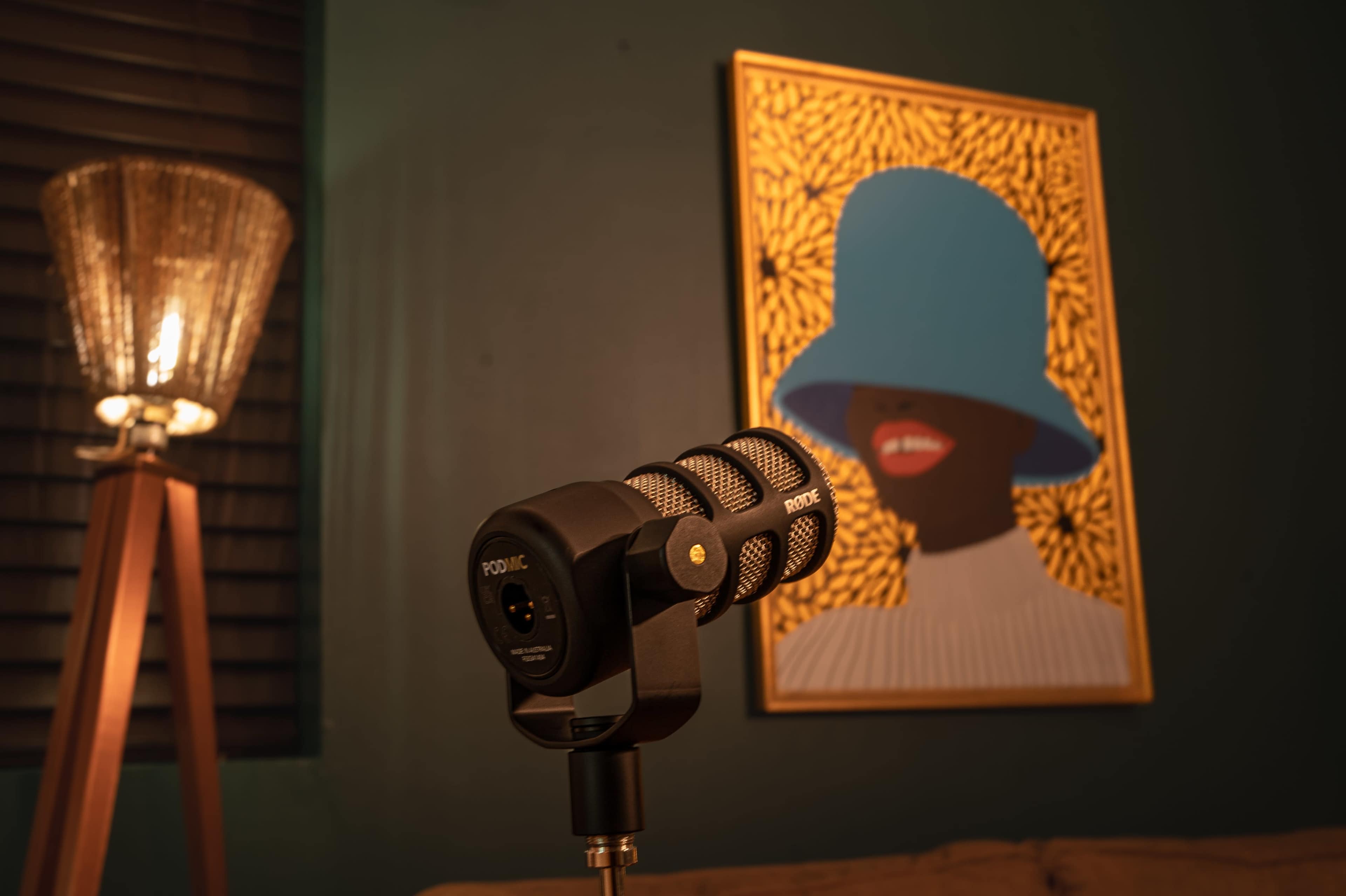 A vintage-style microphone stands in the foreground, with a colorful art piece featuring a person wearing a blue hat hanging on a green wall behind it.