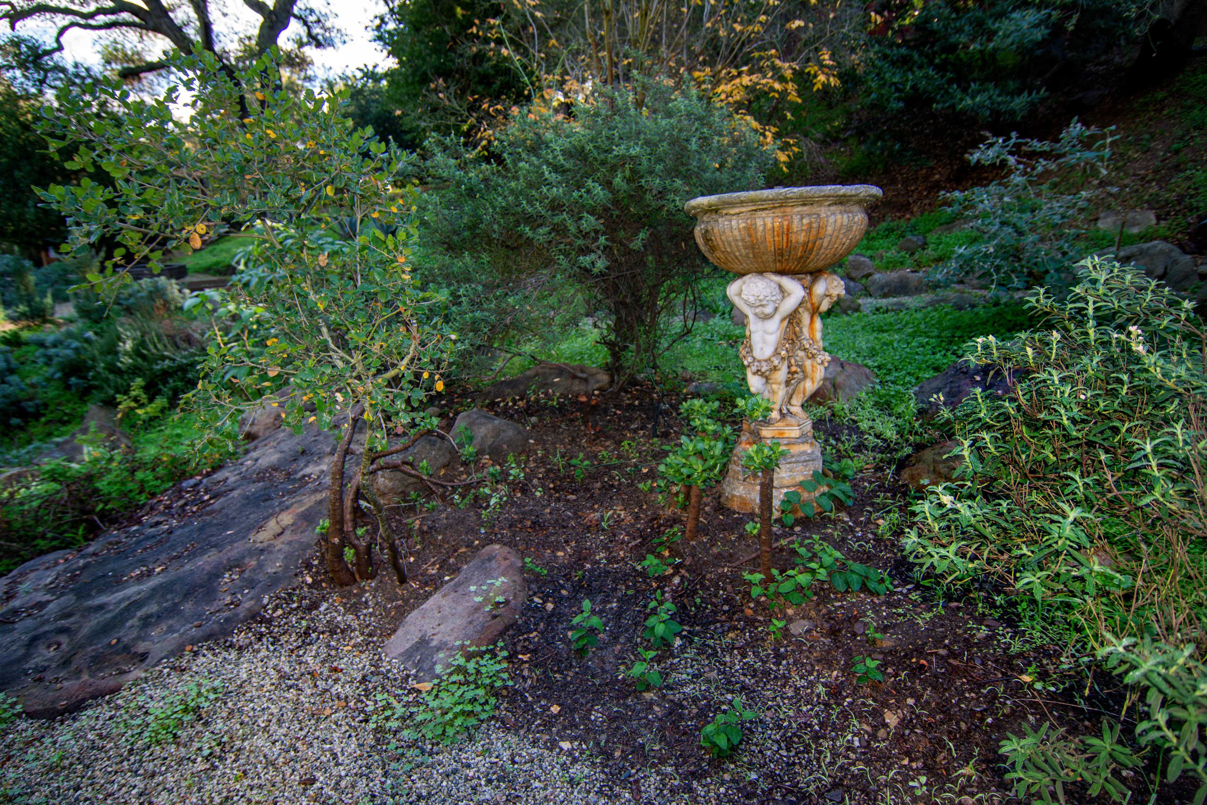The image features a decorative stone pedestal with a basin, surrounded by lush greenery and rocky terrain in a garden setting.