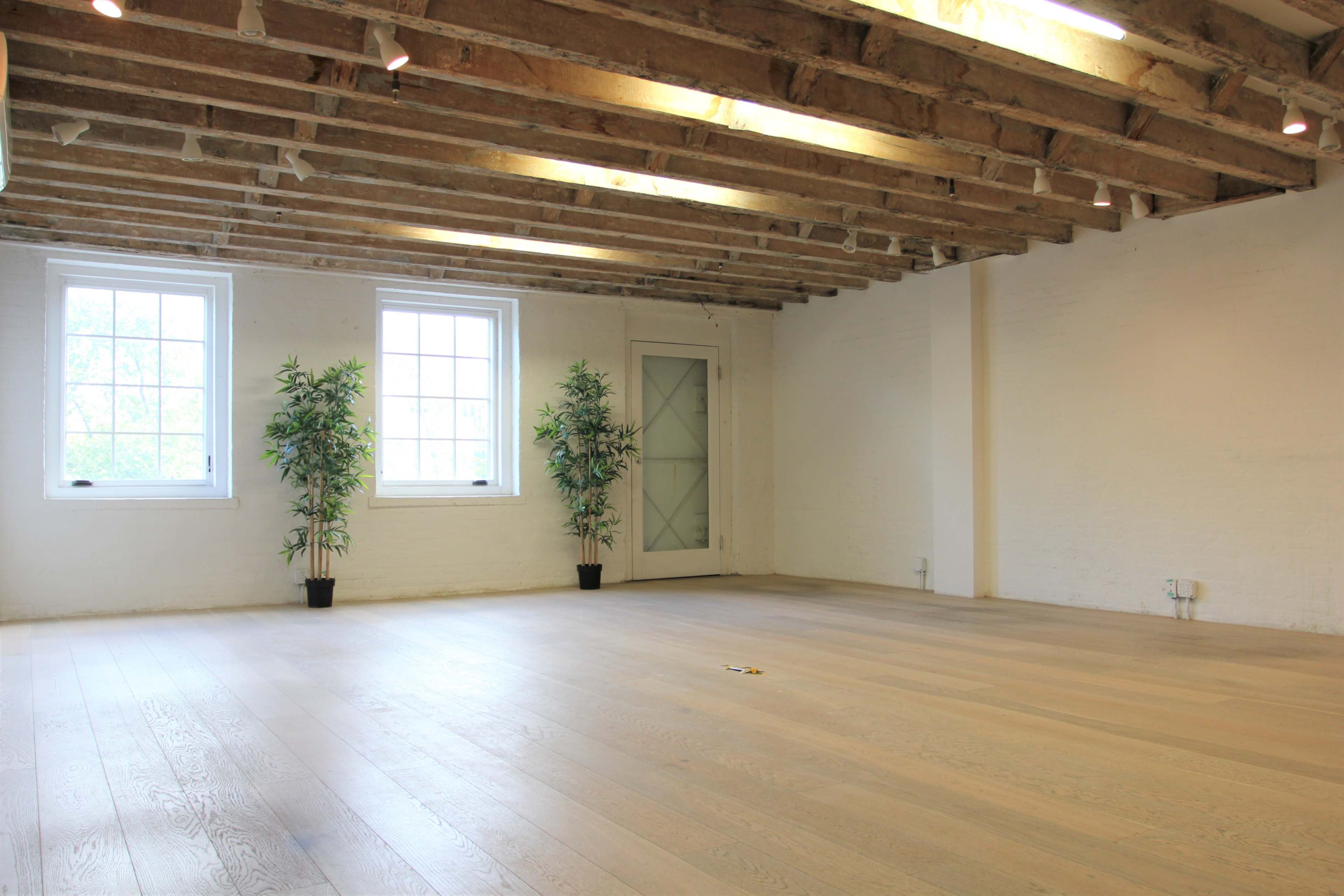 An empty room with wooden beams, white walls, large windows, and two potted plants in the corners.