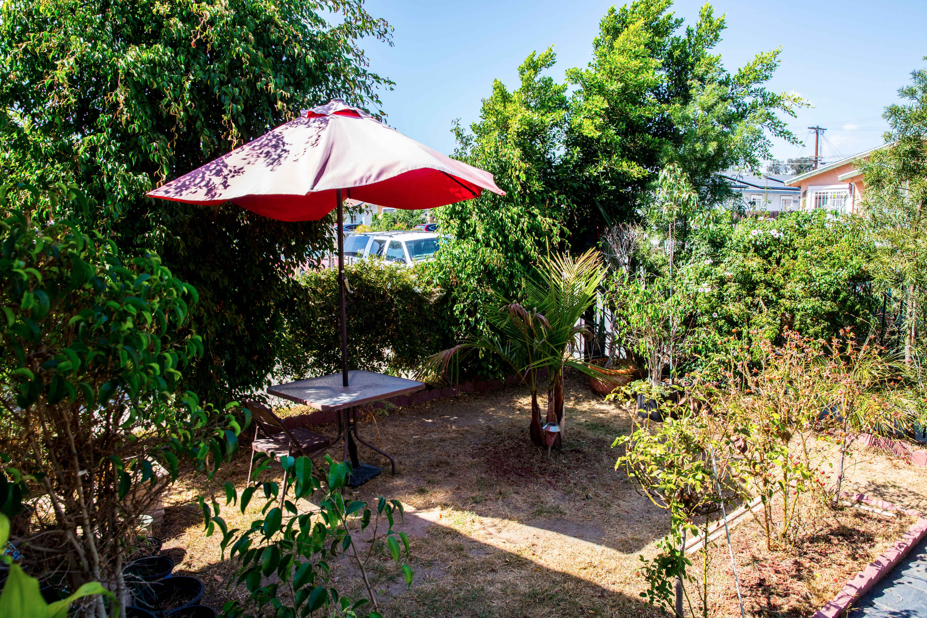 The image shows a small garden with a table and umbrella surrounded by greenery and a few potted plants.