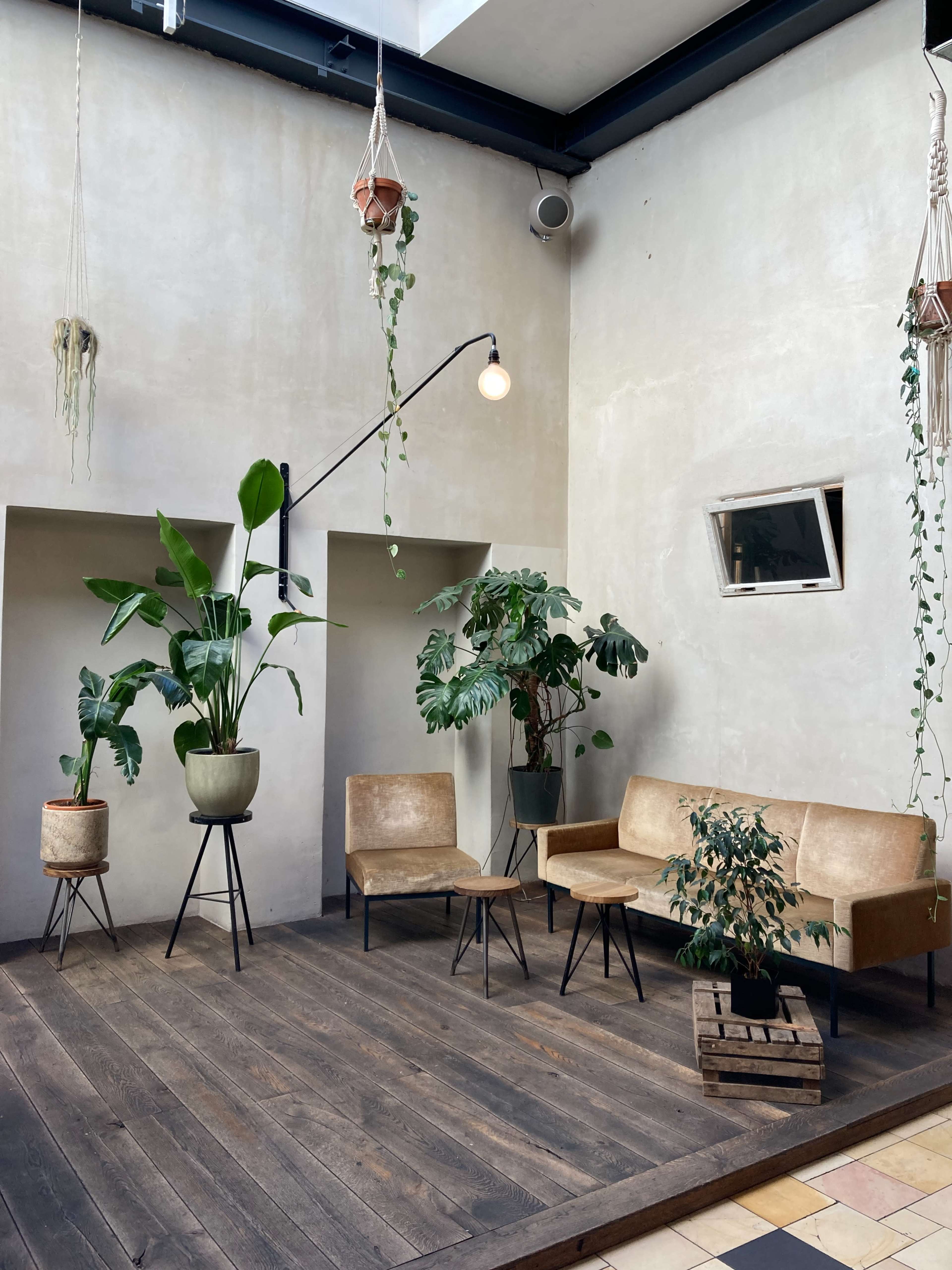 A modern indoor space with several potted plants, a wooden floor, and a minimalist seating area consisting of a sofa, chair, and small table.
