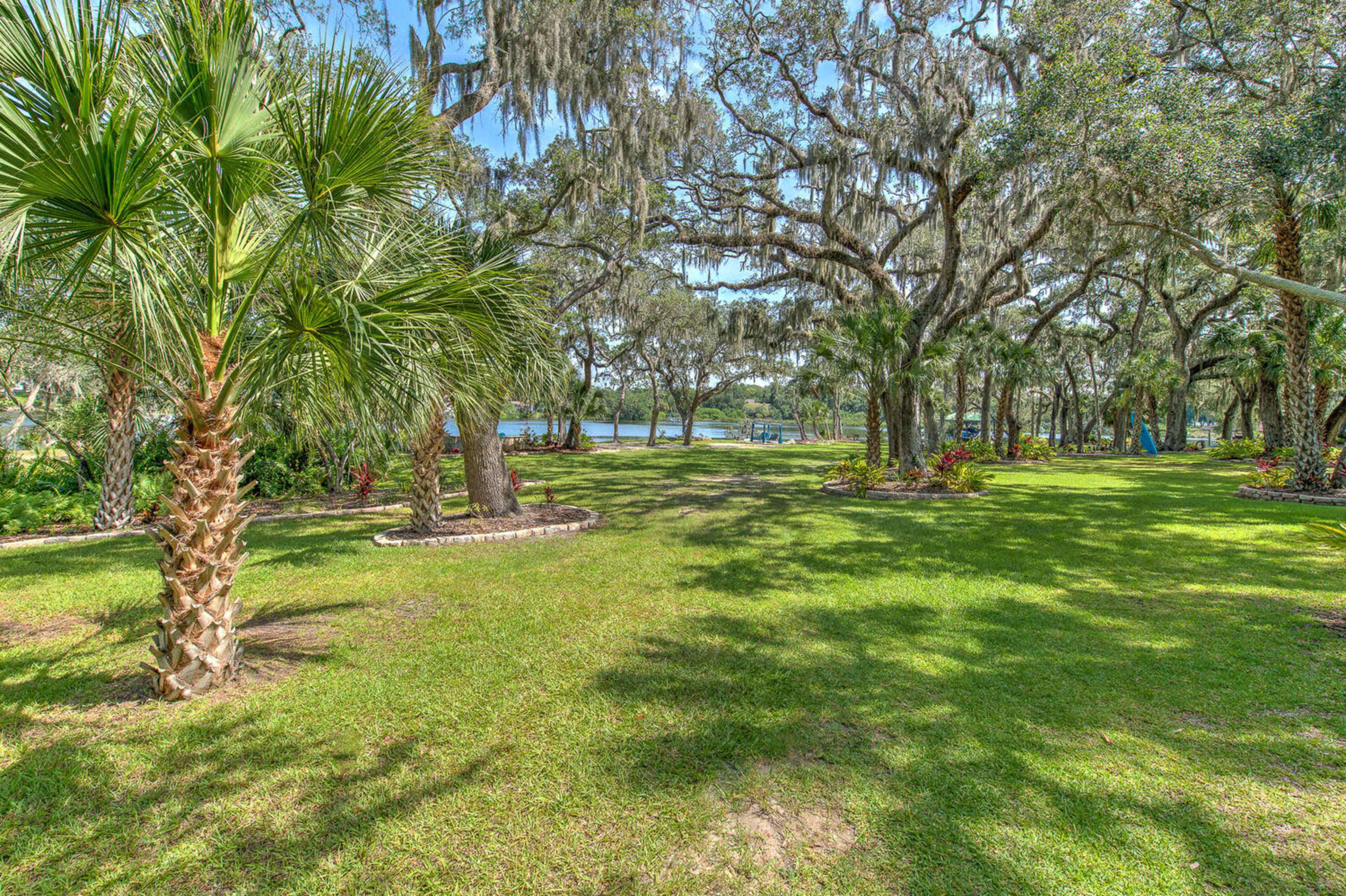 A grassy area with palm trees and large oak trees draped in Spanish moss, overlooking a body of water in the background.