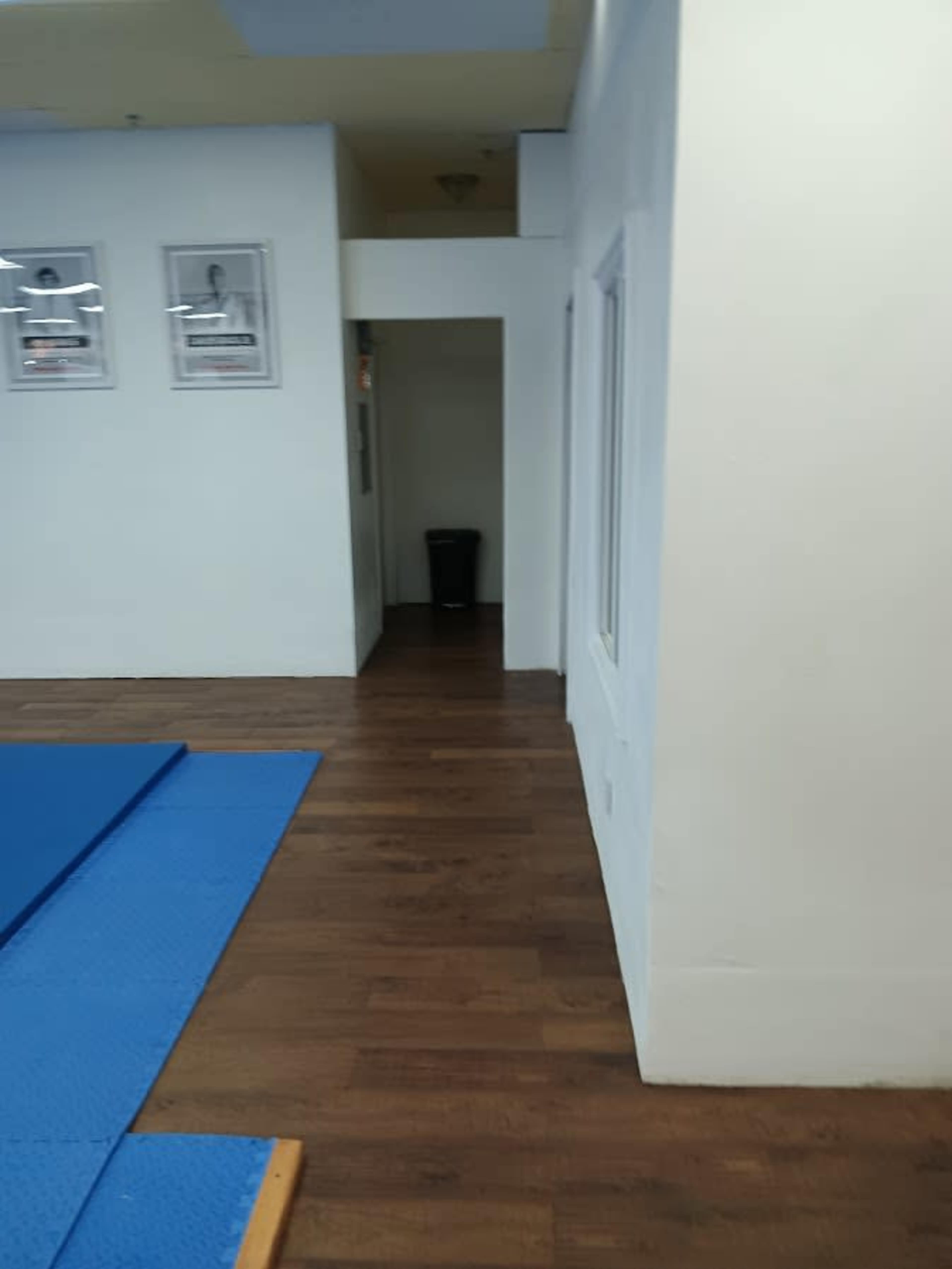The image shows a hallway with a wooden floor, leading to a dark area at the end, and blue mats positioned along one side.