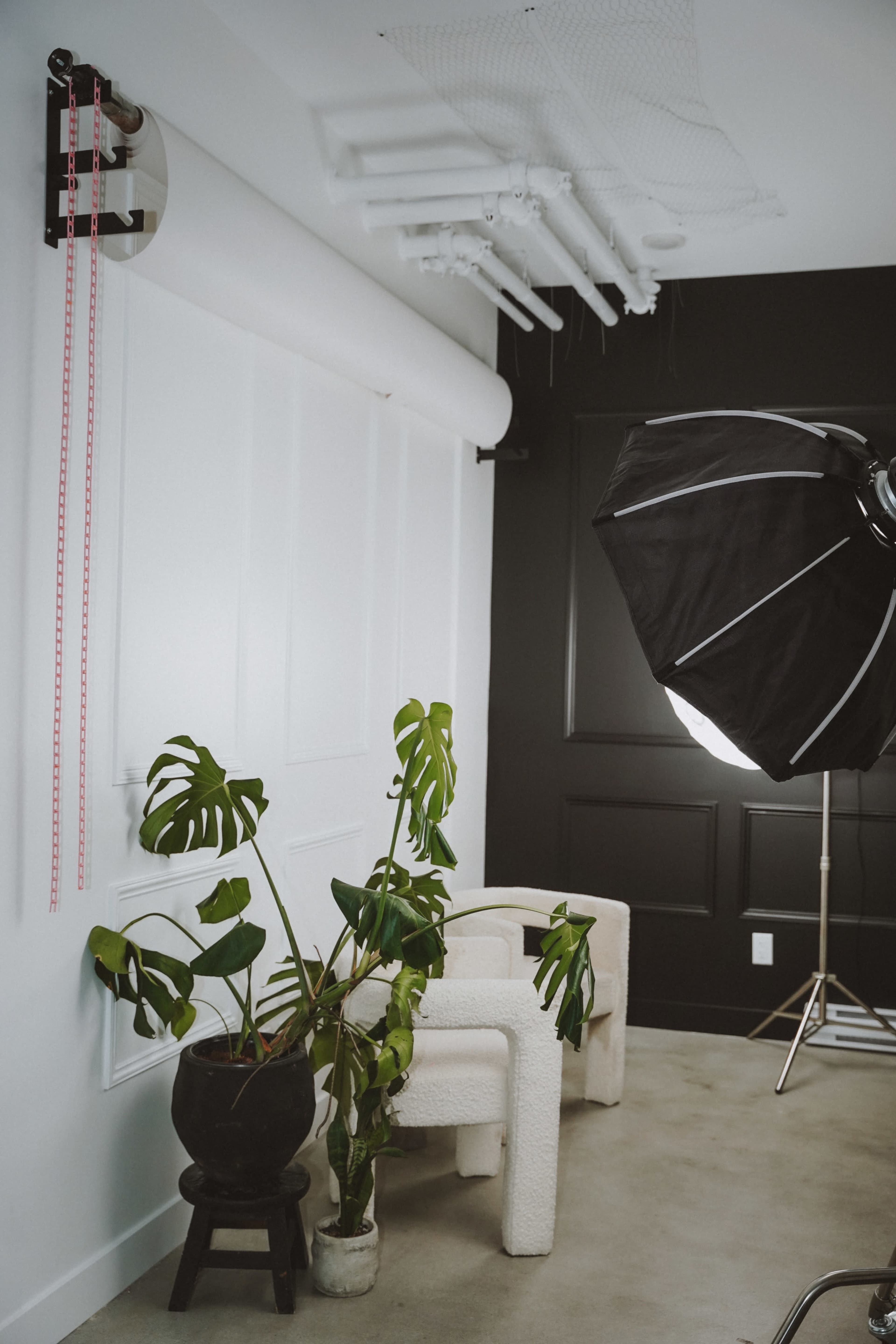 The image depicts a minimalistic studio space featuring a potted plant, a light source on a stand, and a backdrop roll mounted on the wall.