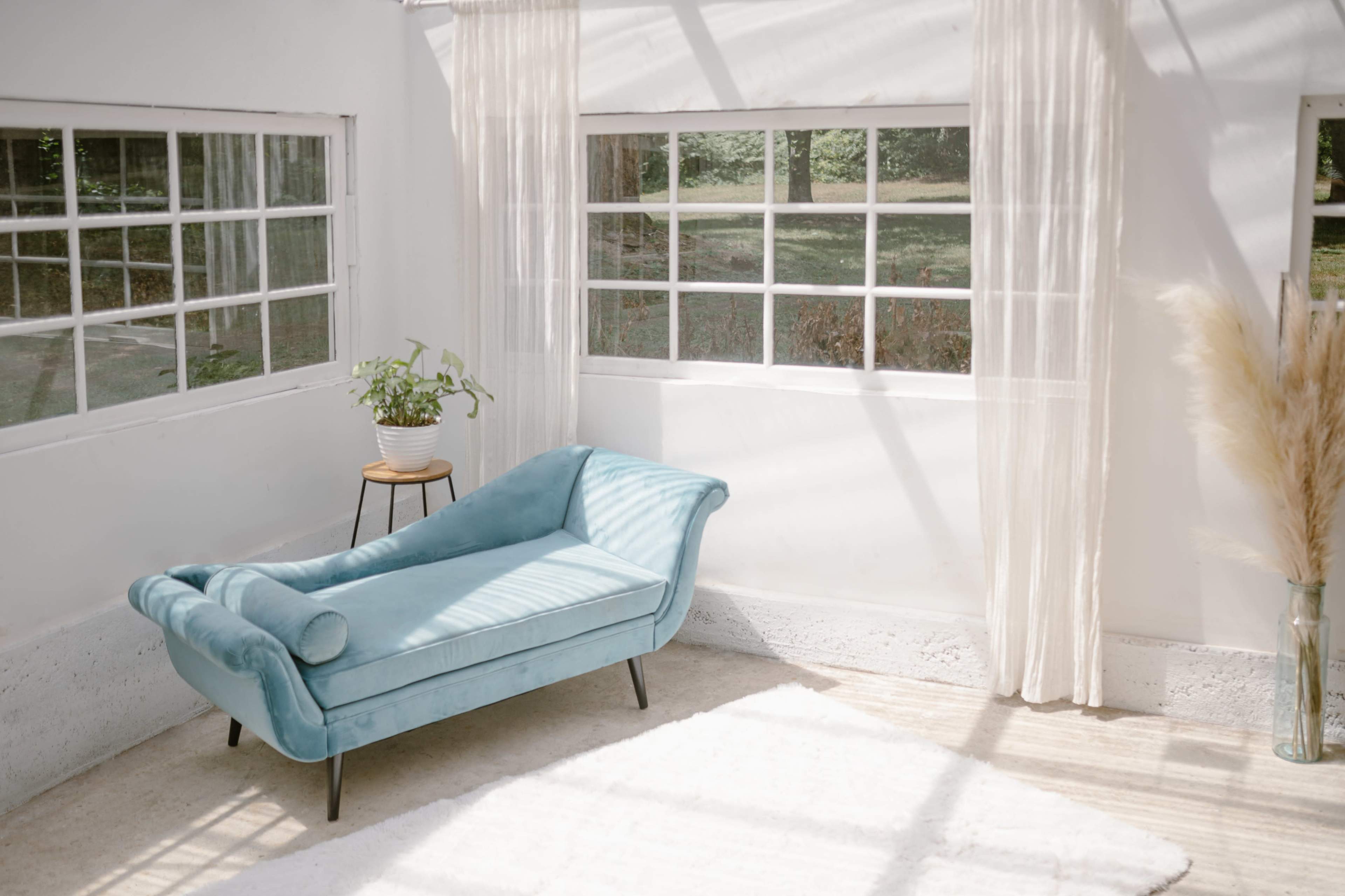 A light-filled room features a blue chaise lounge near a planter and large windows with sheer curtains.