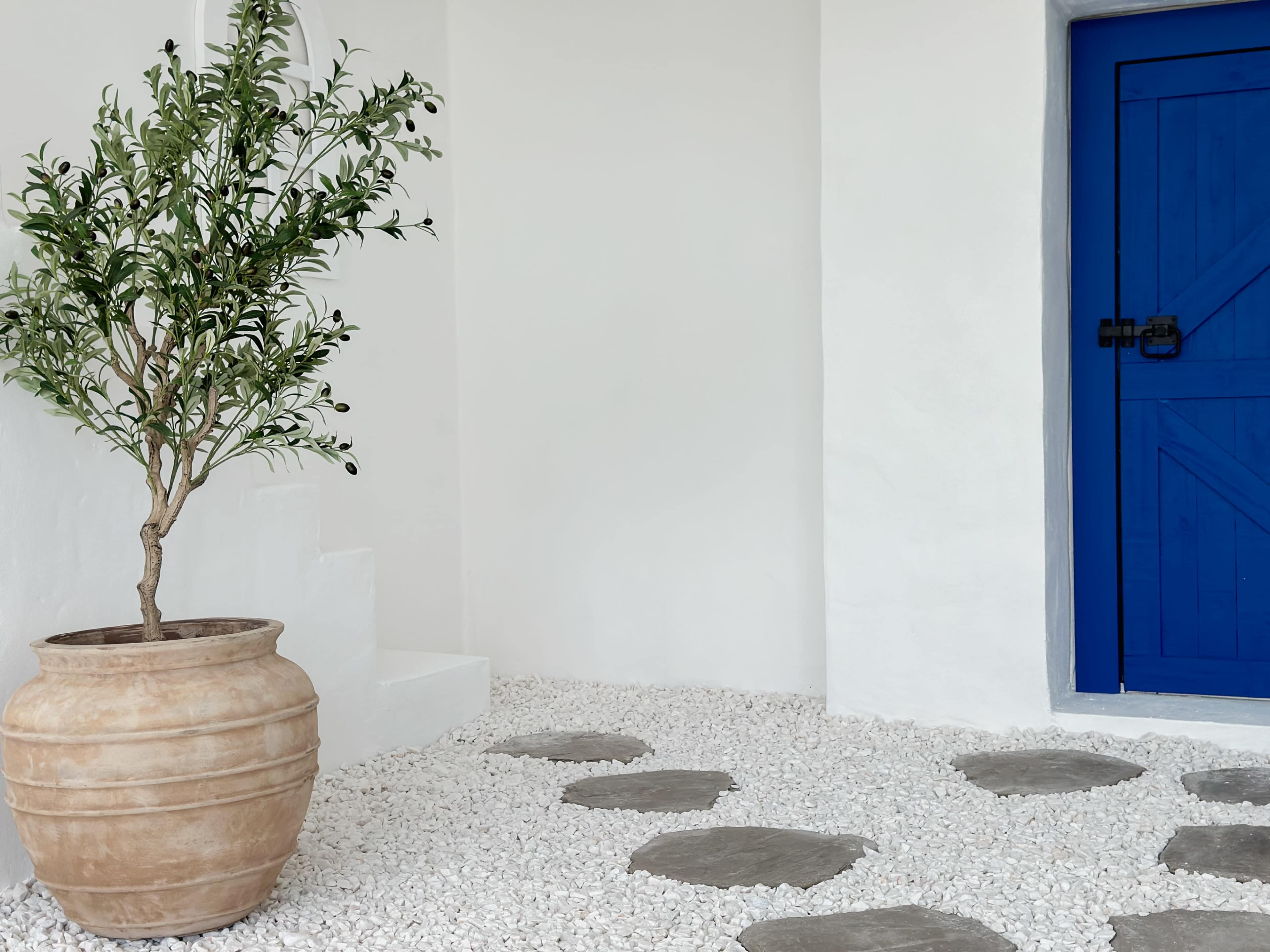 A potted olive tree stands next to a blue door on a white gravel path with stone stepping stones.