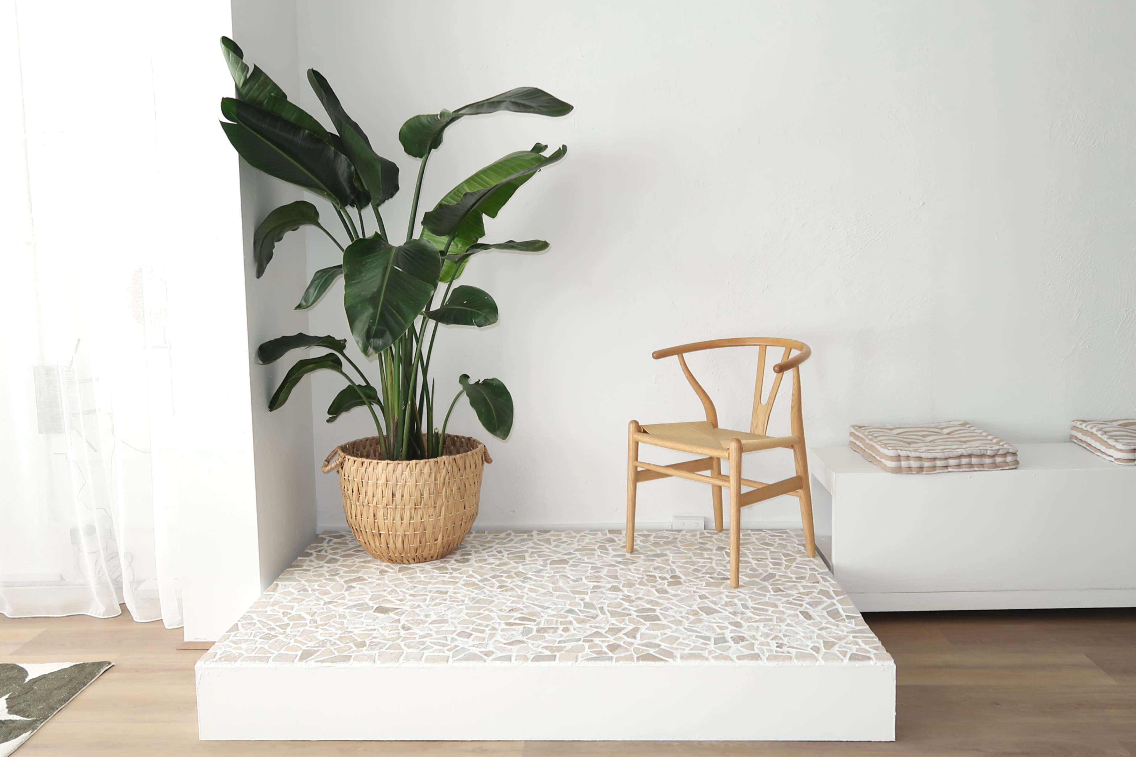 Natural light Content Studio in St Kilda Image in St Kilda, St Kilda, VIC