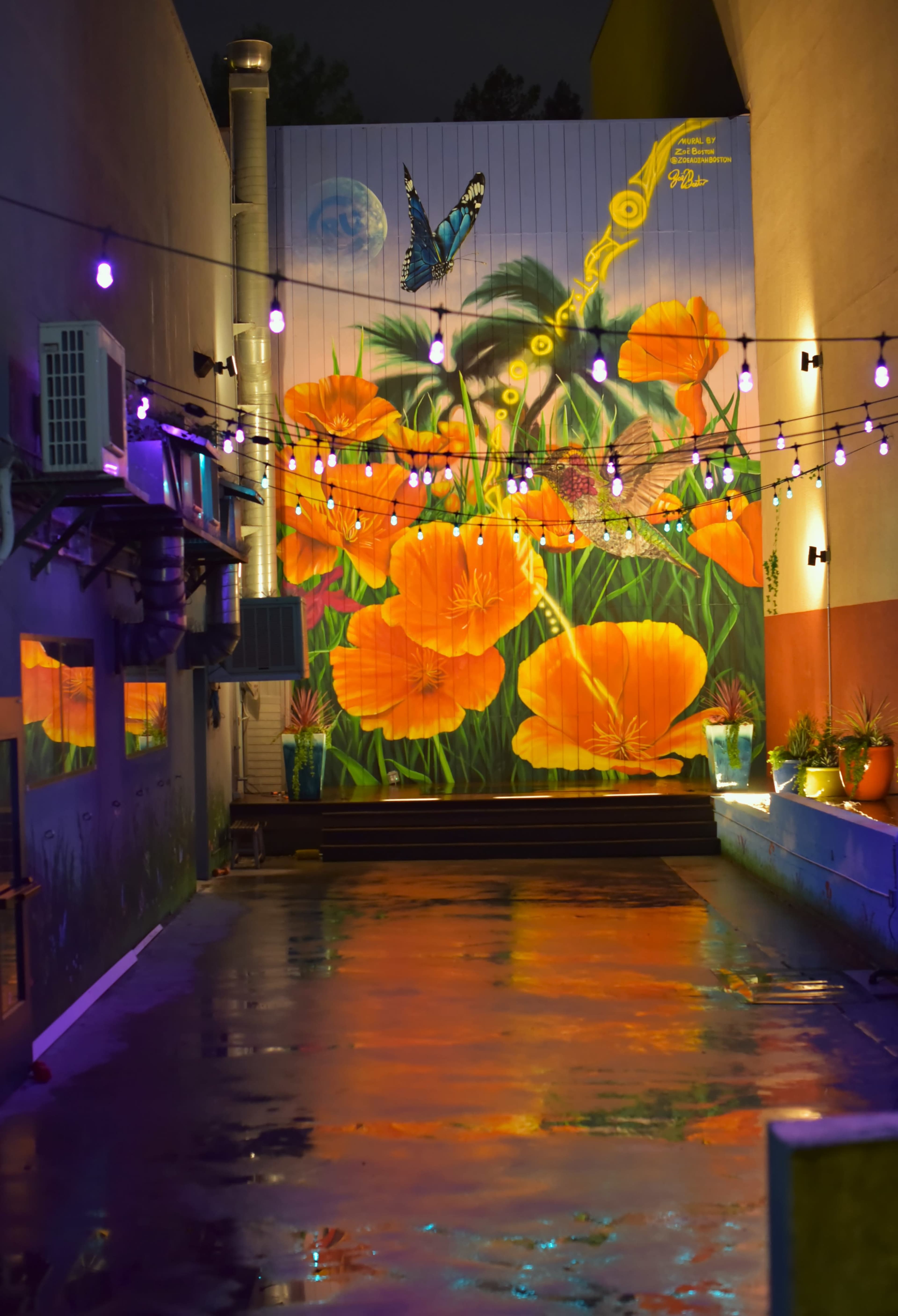 A brightly colored mural of orange flowers and a butterfly on a wall beside a water feature, illuminated by string lights at night.