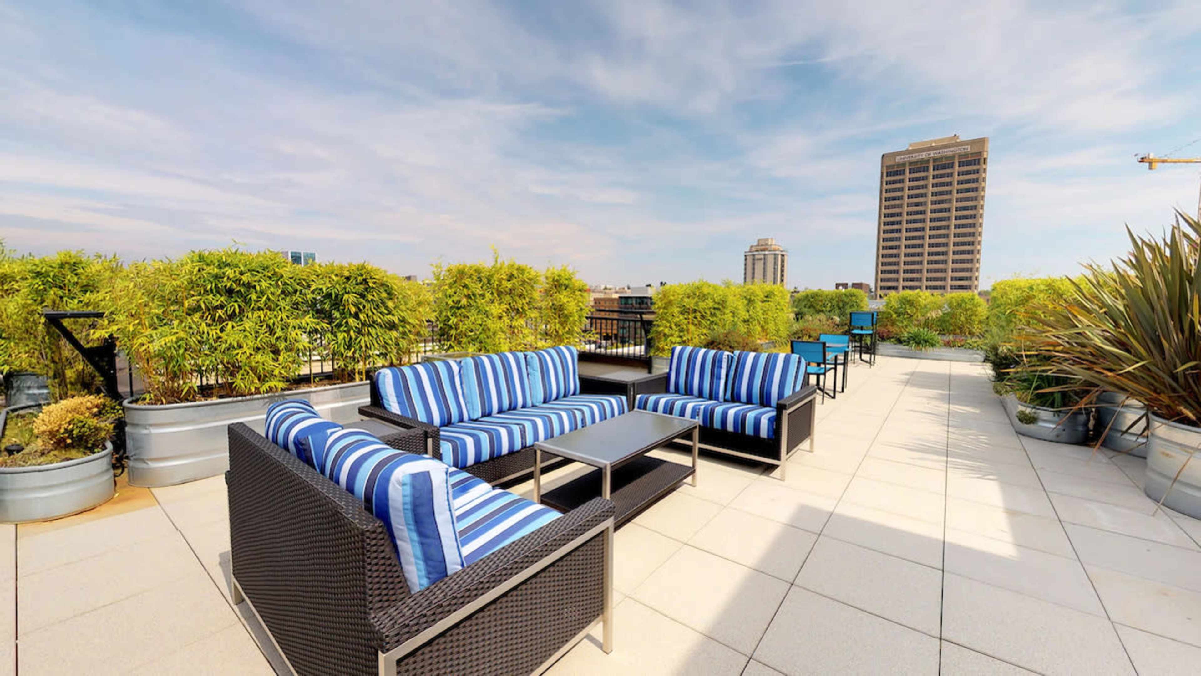 A rooftop patio with blue and white striped lounge furniture surrounded by greenery and a city skyline in the background.