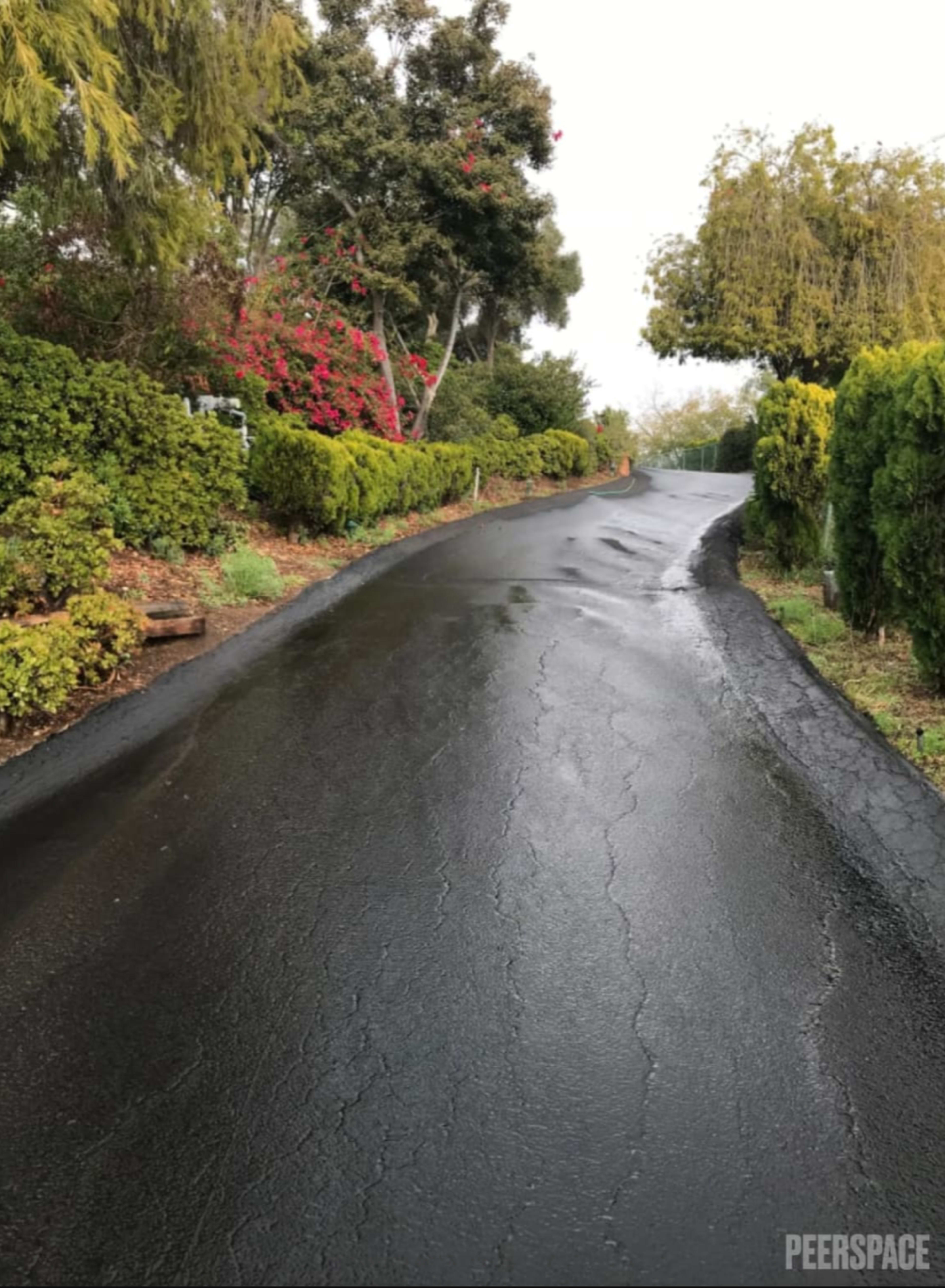 A freshly paved, wet driveway winds uphill, bordered by lush green bushes and flowering plants.