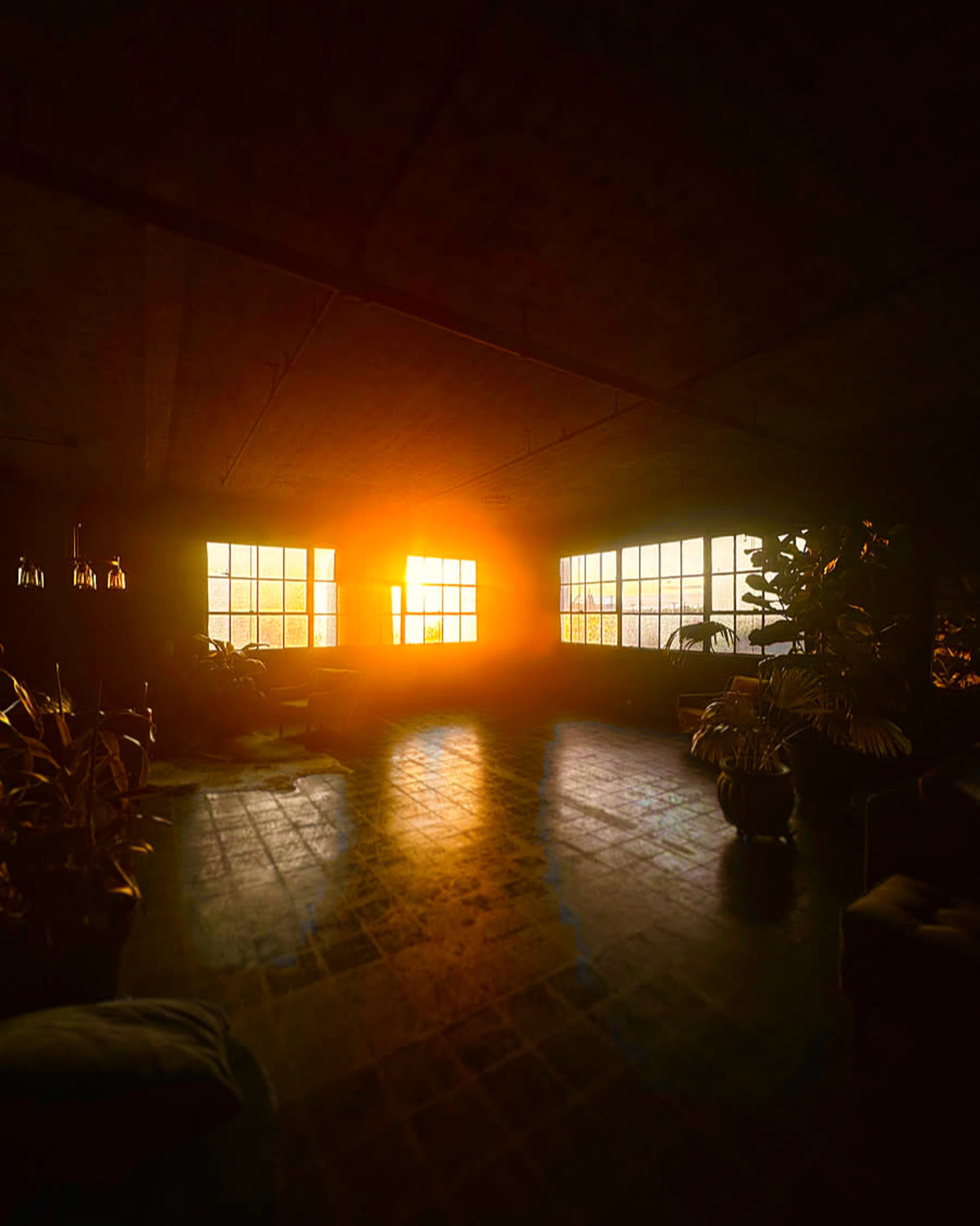 The image shows a dimly lit room with large windows through which the sun sets, casting a warm glow across the floor and illuminating plants.