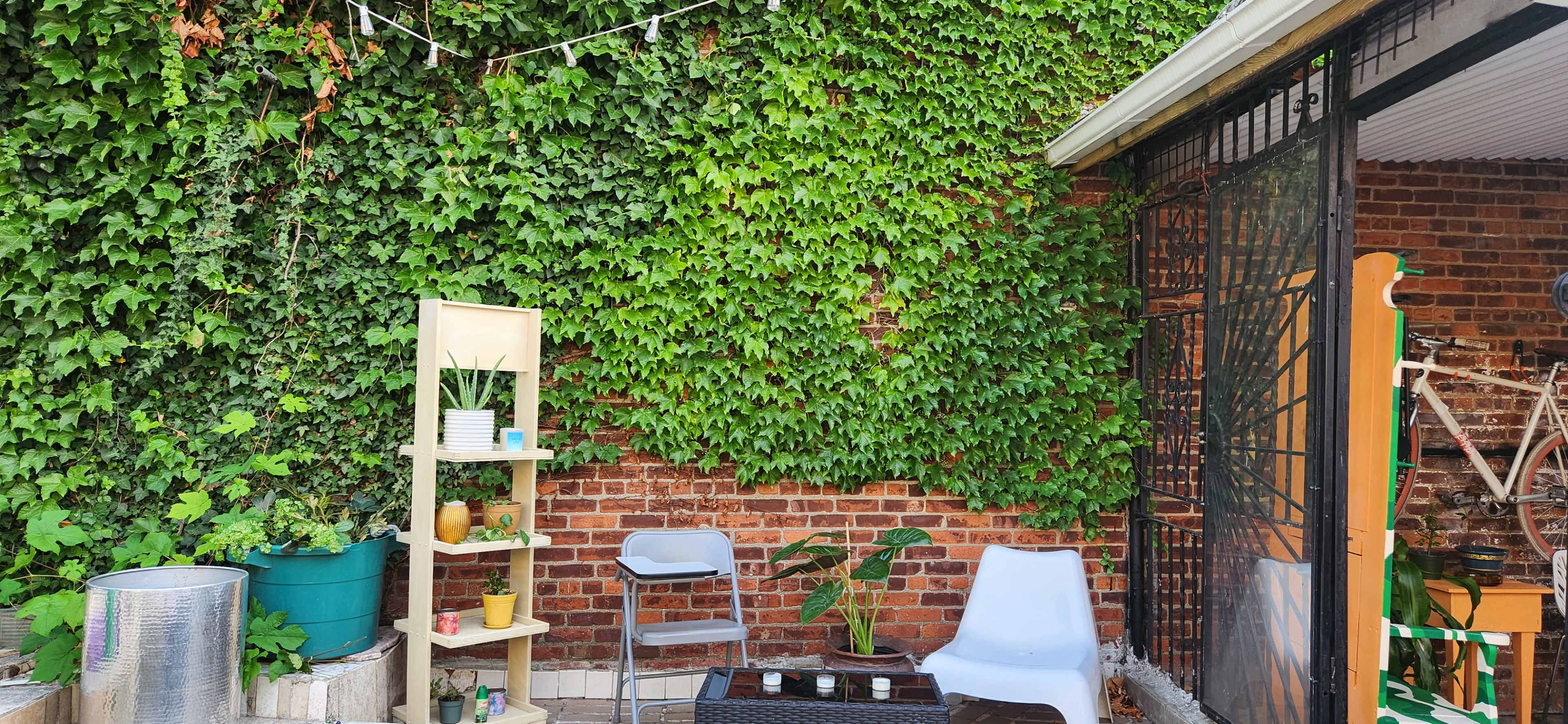 The image shows a small outdoor patio with a green ivy-covered wall, a shelf displaying potted plants, and two chairs arranged around a low table.