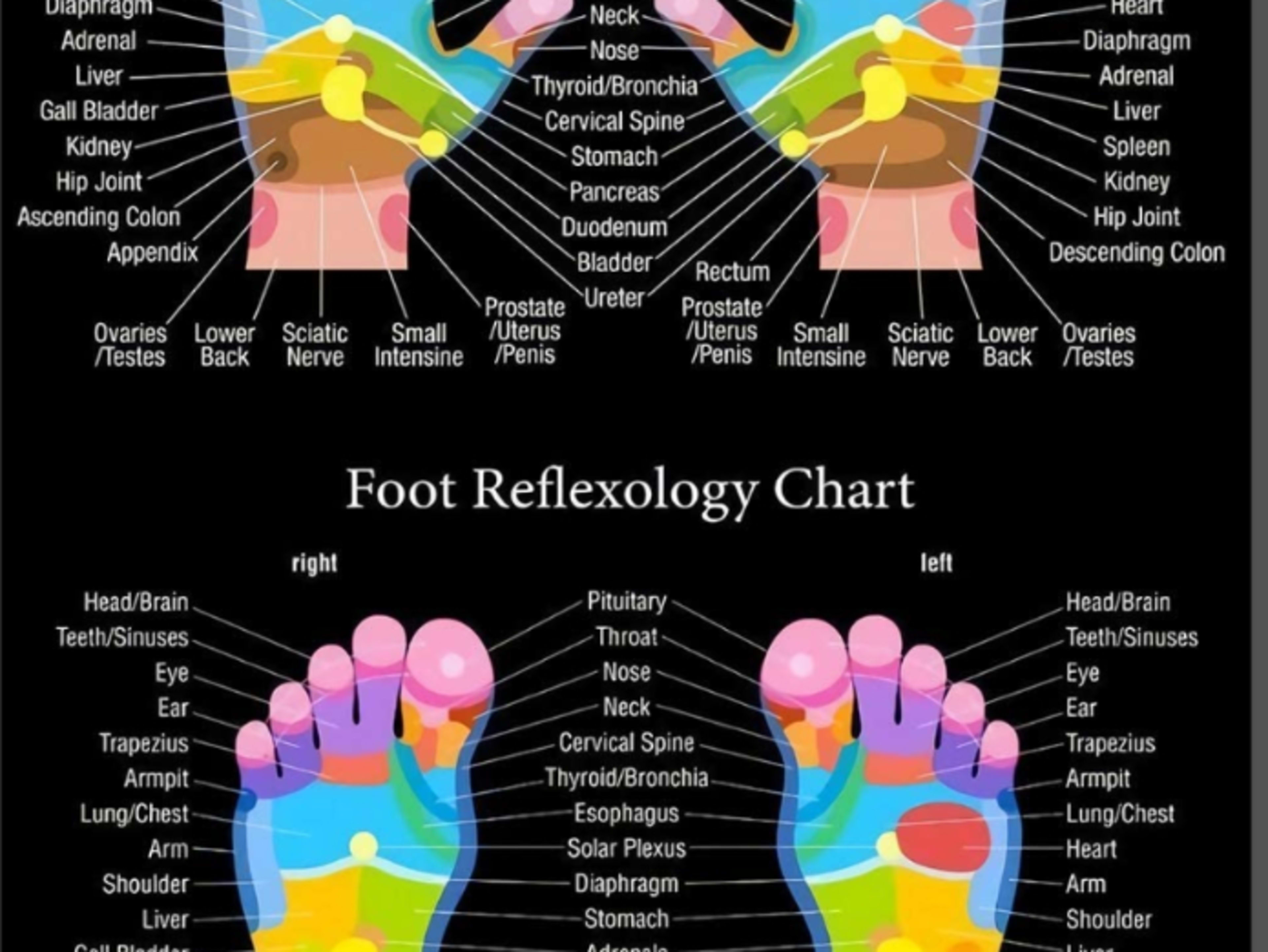 40 Min Reflexology