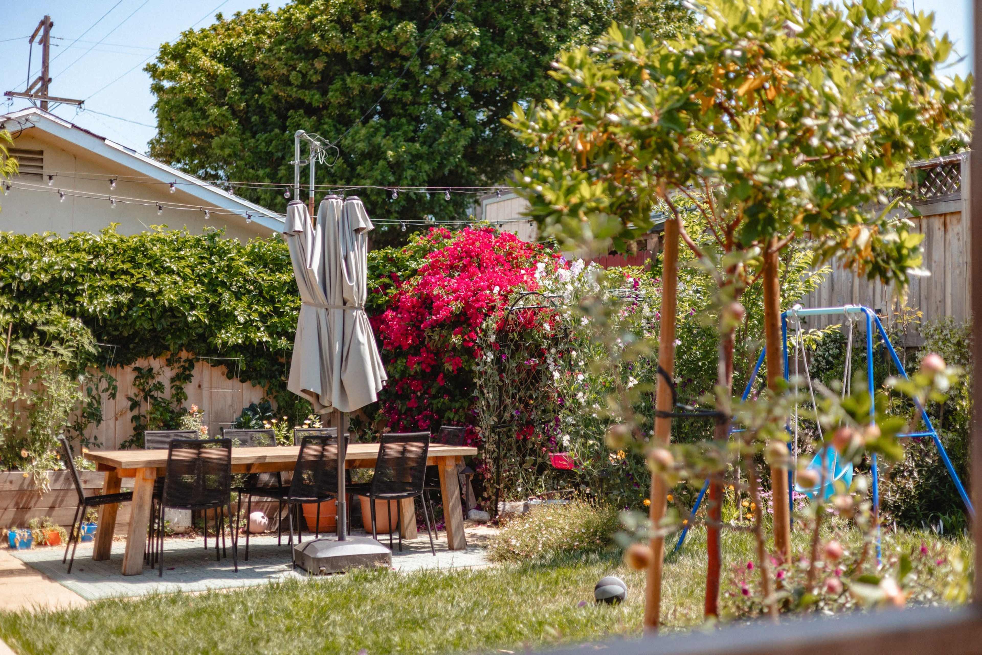 The image shows a backyard with a dining table and chairs, surrounded by greenery and colorful flowers, under a clear blue sky.