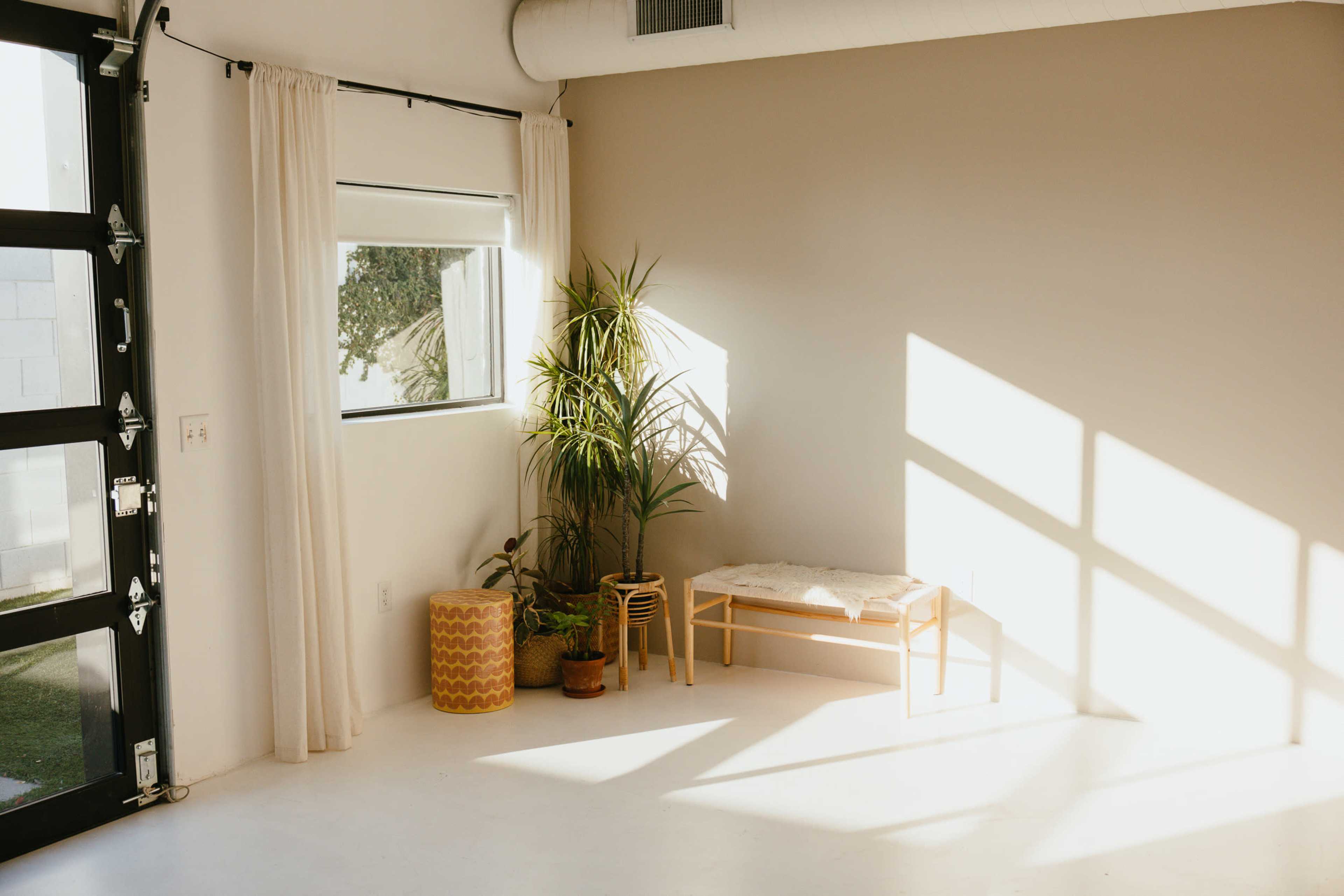 Mae Collective Studio Image in Encanto Village, Phoenix, AZ