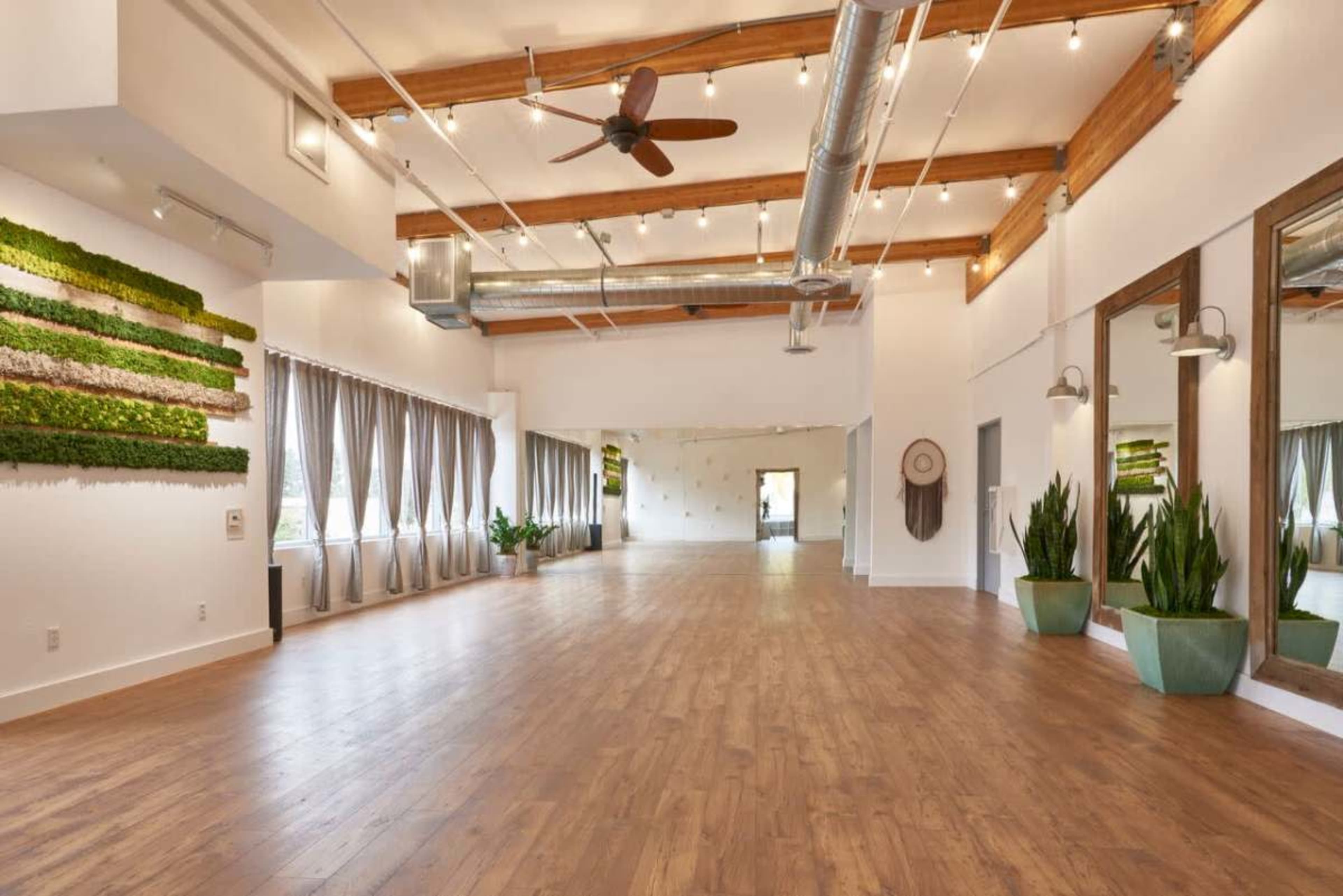 The image shows a spacious interior with wooden floors, tall windows draped with curtains, and green potted plants, complemented by a decorative moss wall and large mirrors.