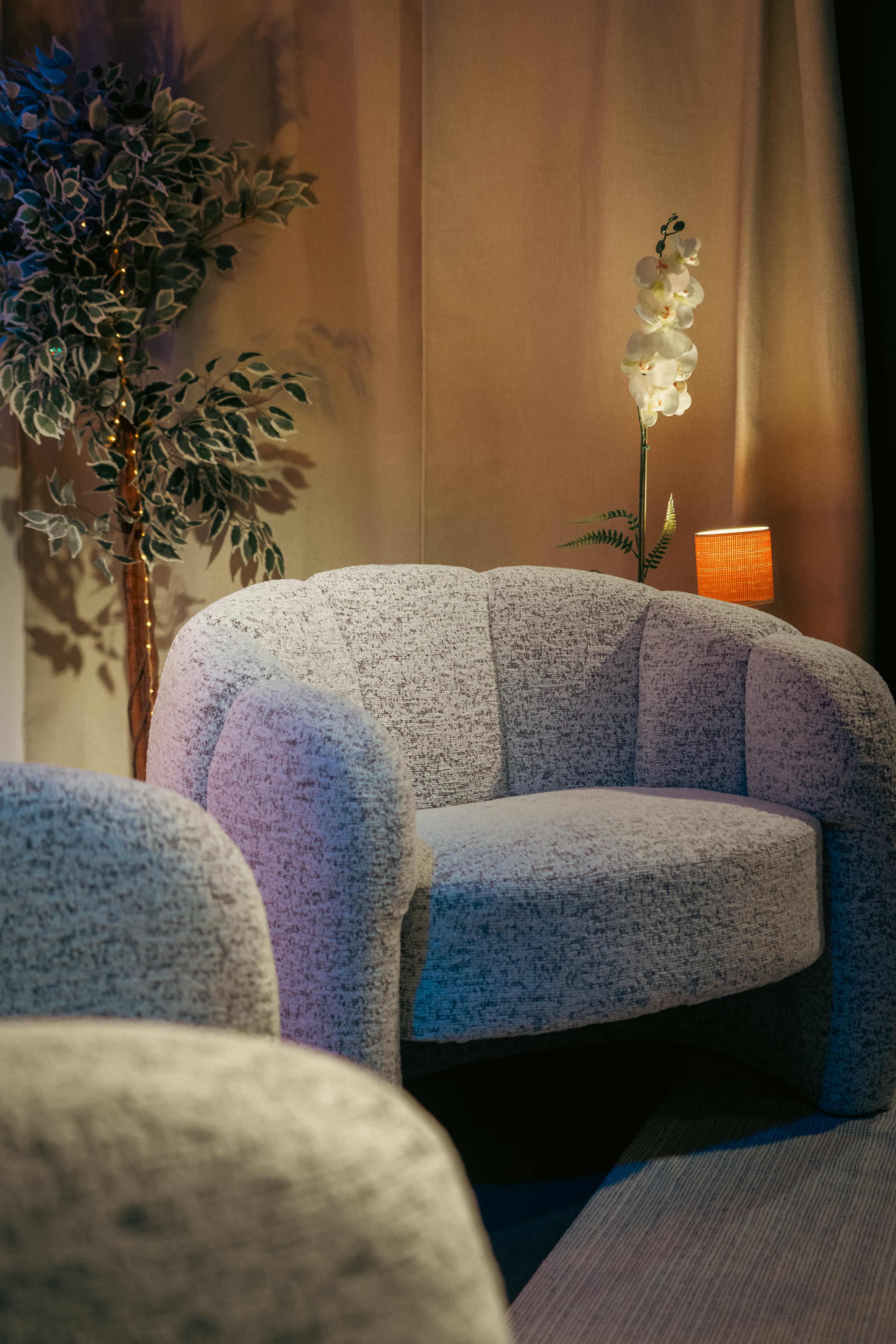 The image features two curved, textured chairs positioned near a potted plant and a lamp, with a backdrop of draped fabric.