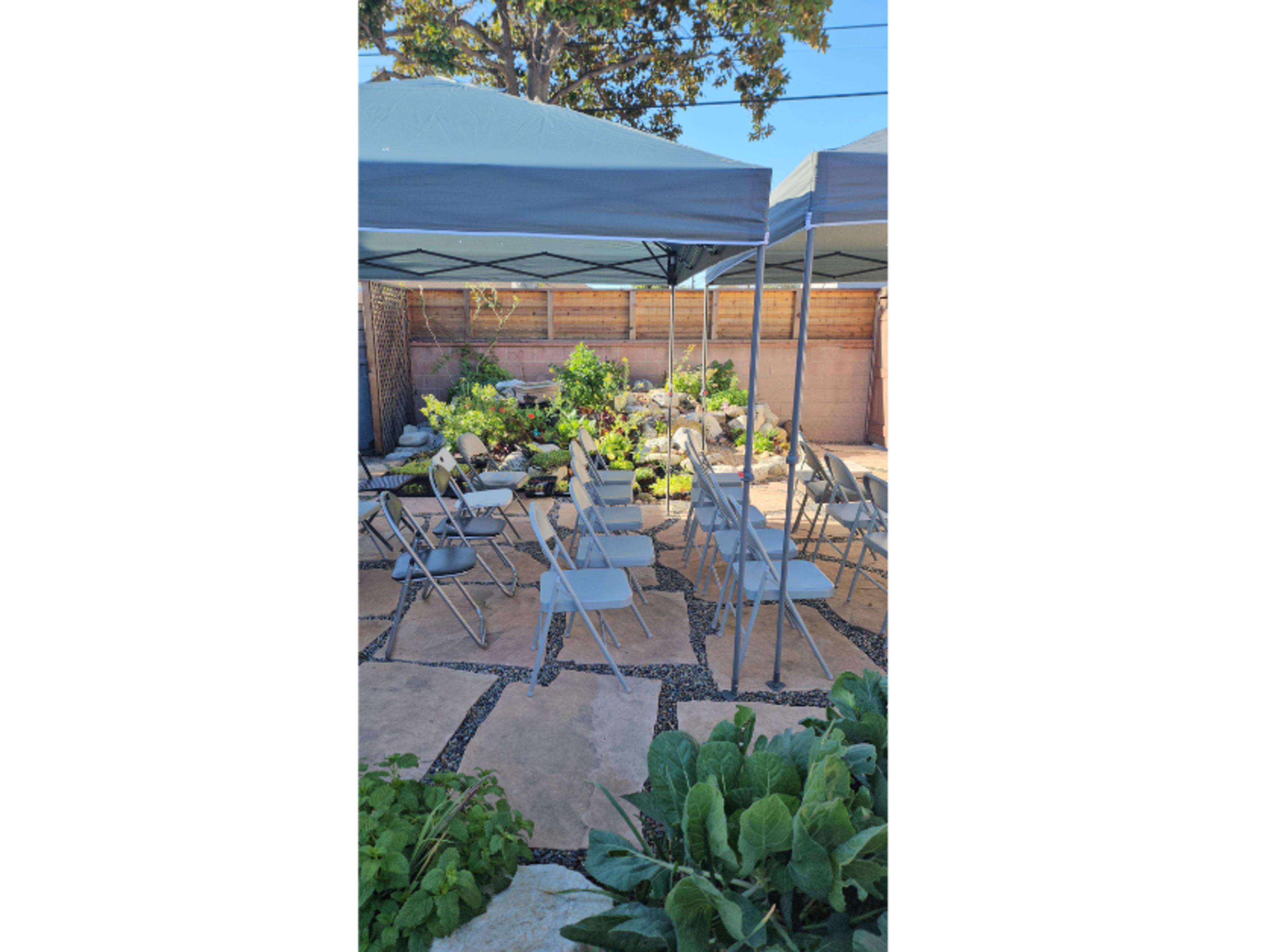 Canopy Tents