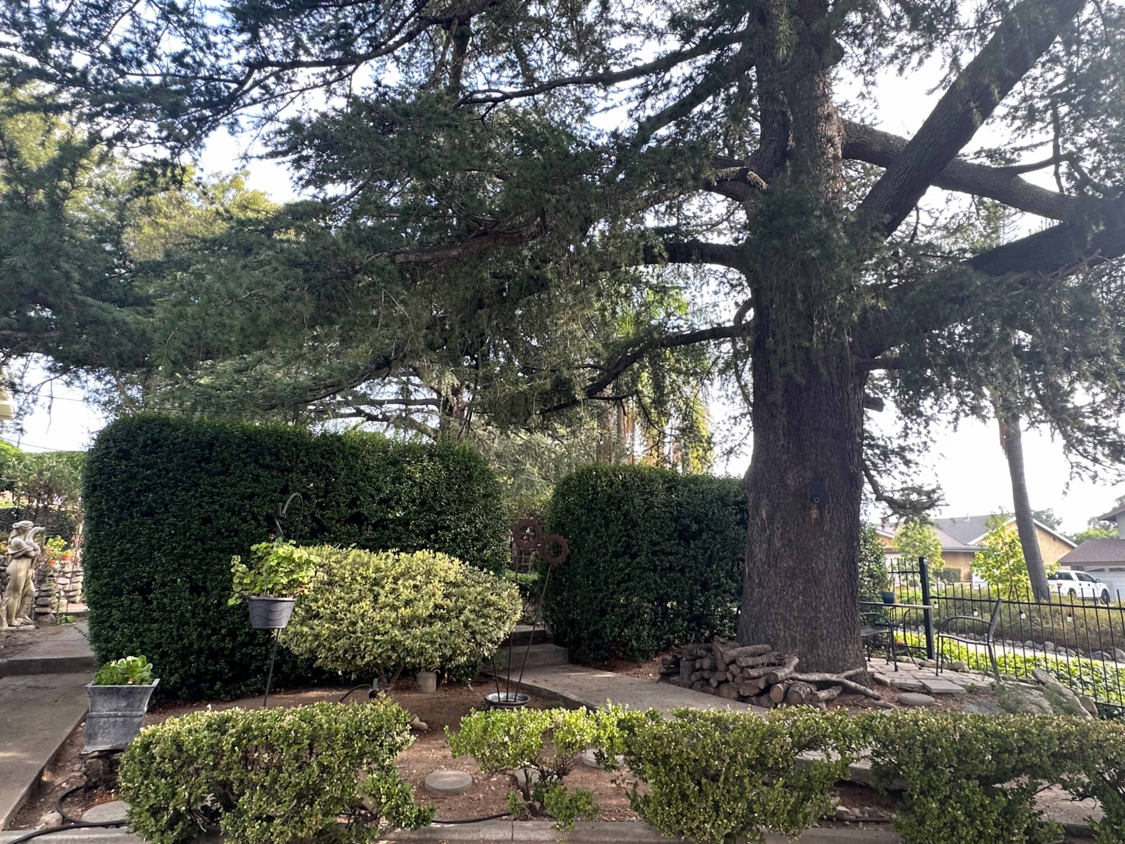 The Historic Grove Estate Image in Upland, Upland, CA