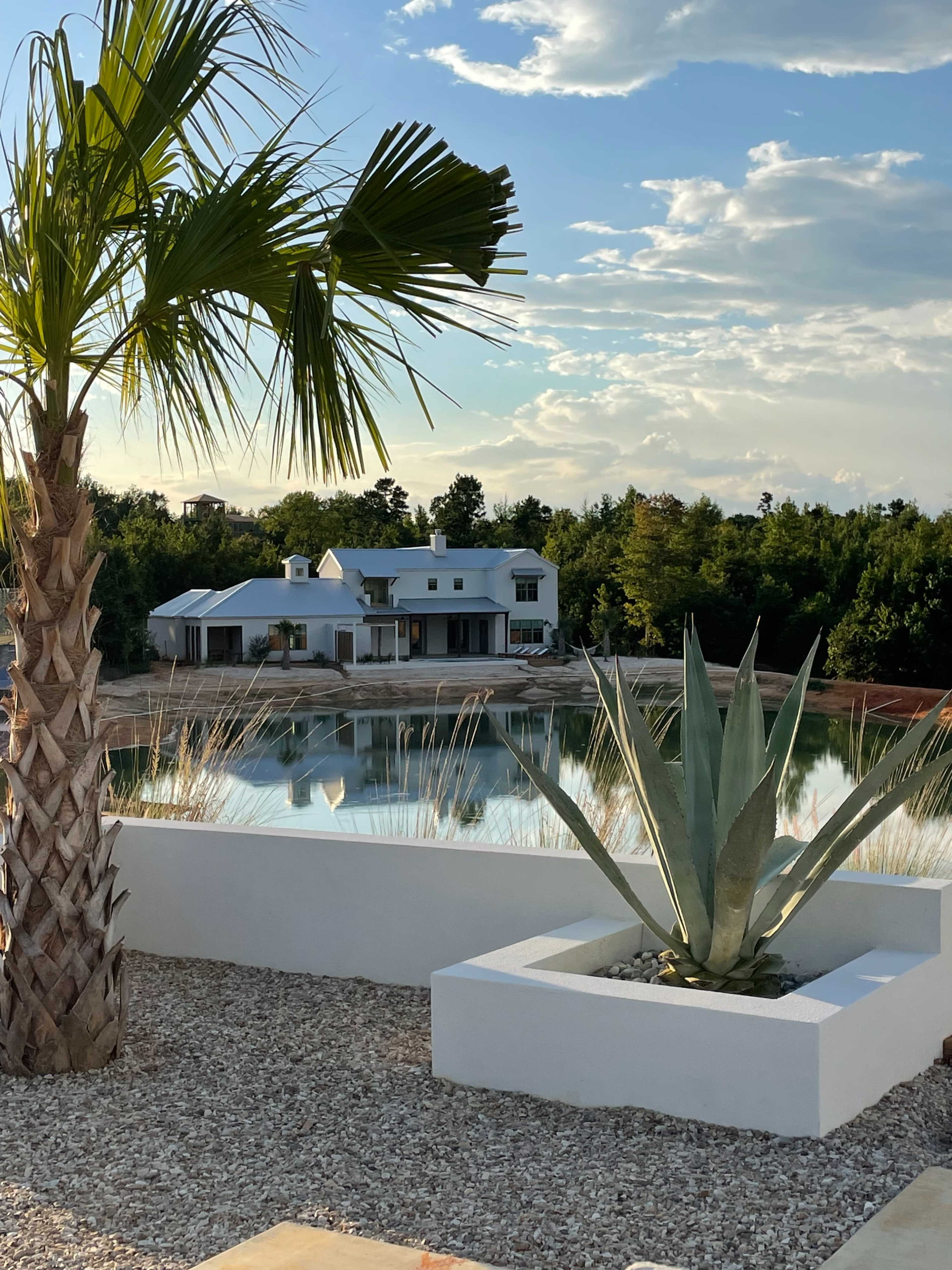 A modern white house with large windows is reflected in a calm pond, surrounded by palm trees and agave plants.