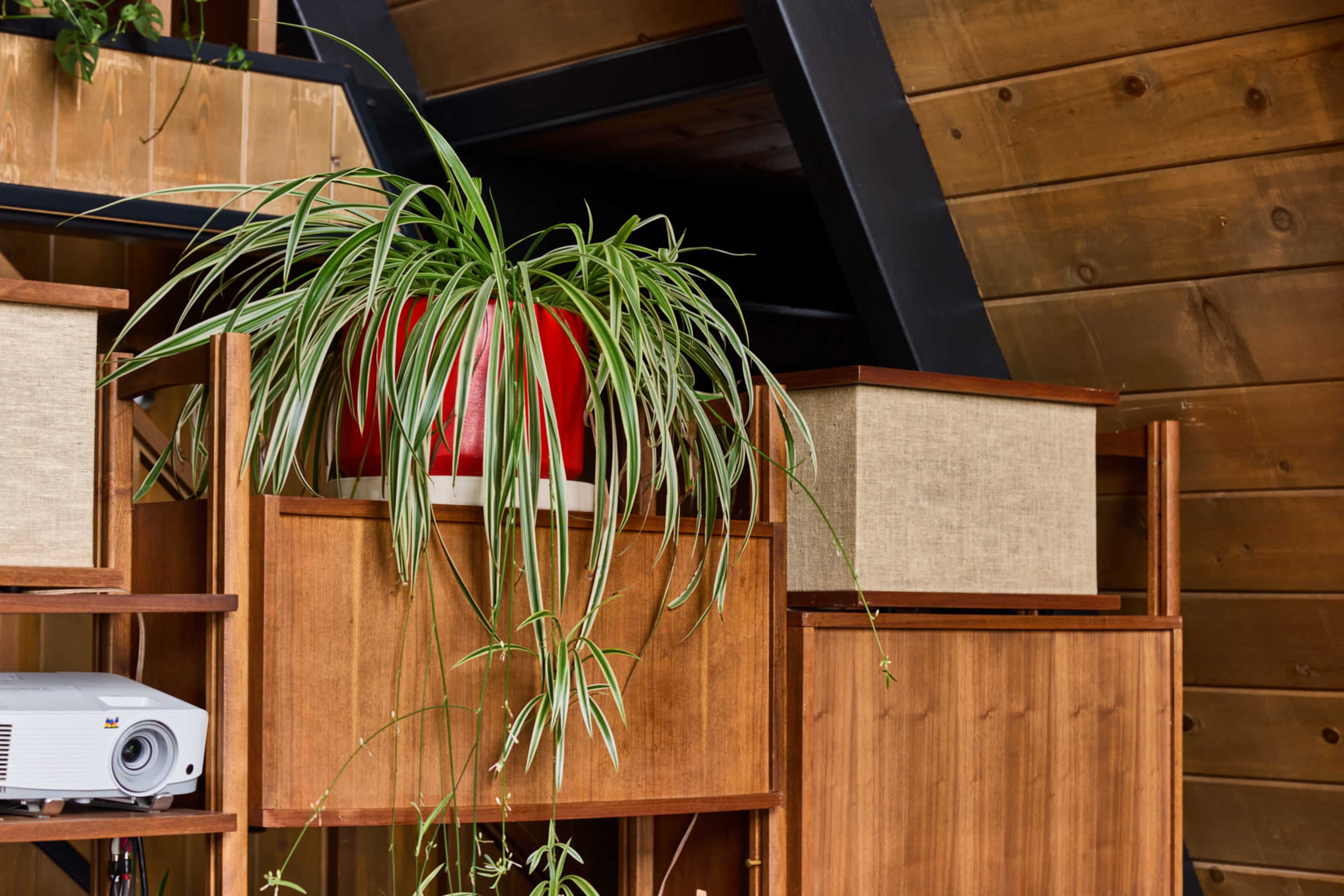 Mid-Century Curated 1970s A-Frame Image in Lake Arrowhead, Lake Arrowhead, CA