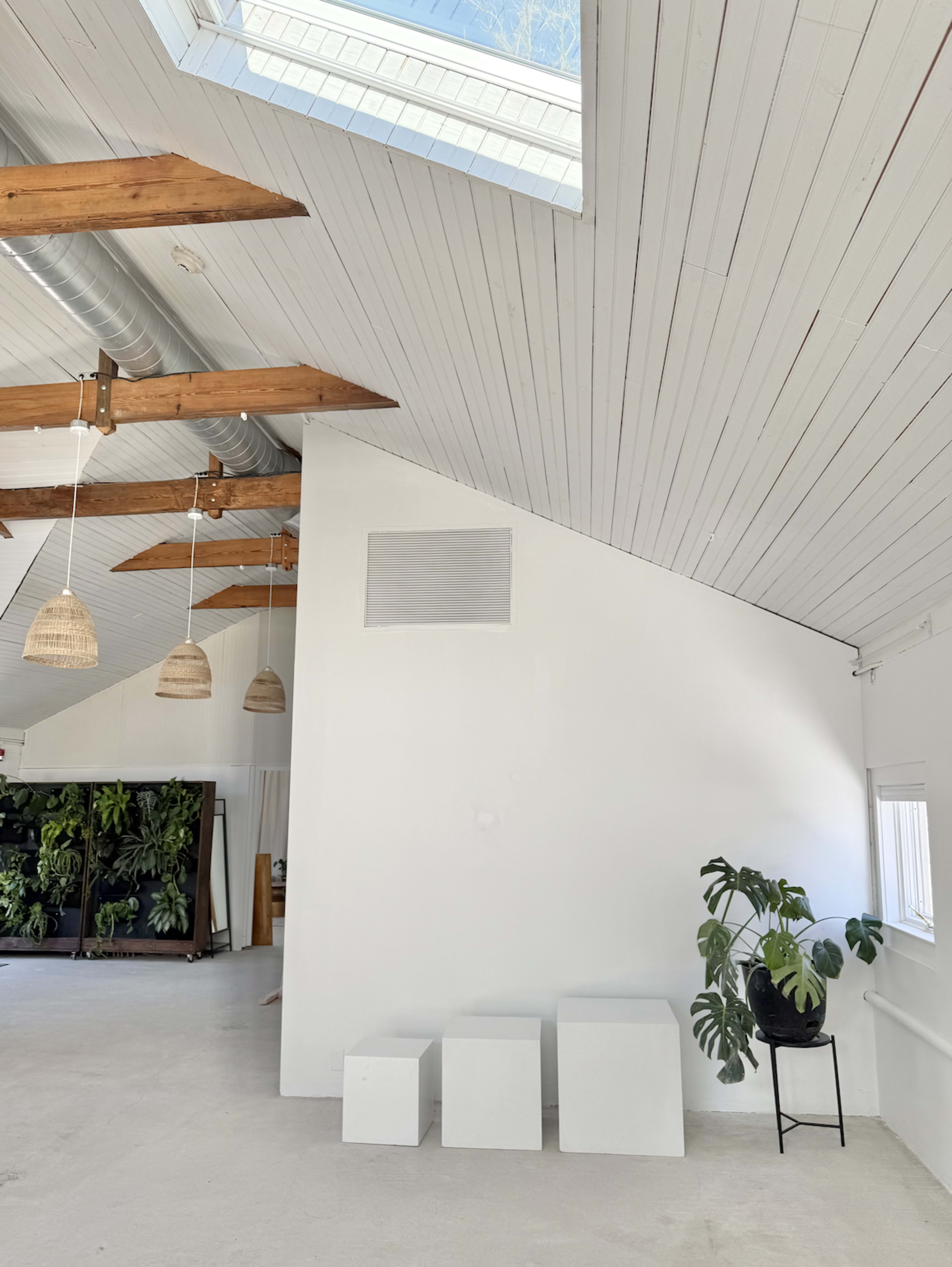 The image shows a spacious interior with a sloped white ceiling, wooden beams, pendant lights, and a potted plant in the corner.