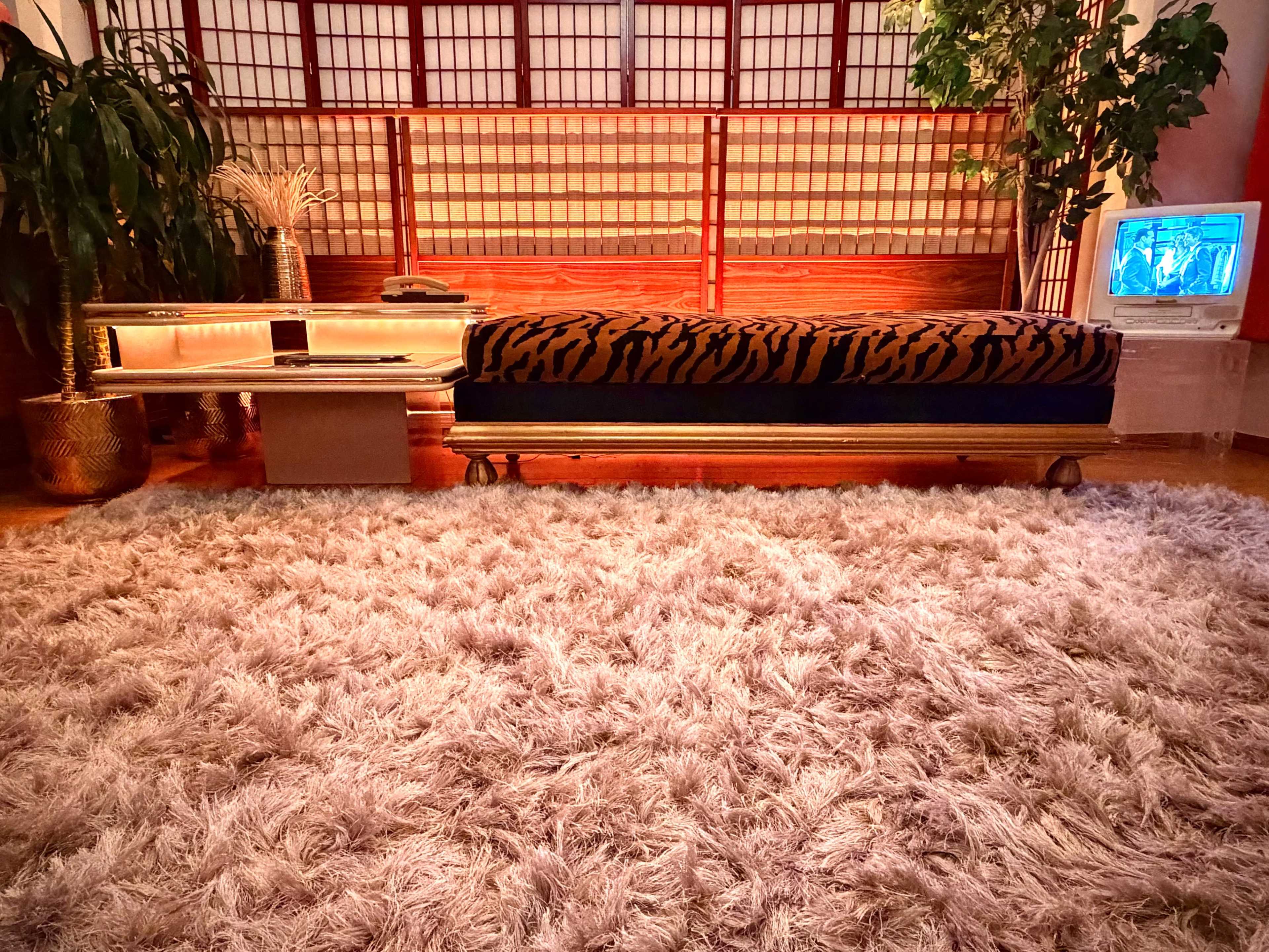 The image shows a living room with a tiger-striped couch, a low table beside it, a large shaggy rug, a potted plant, and an old television set.