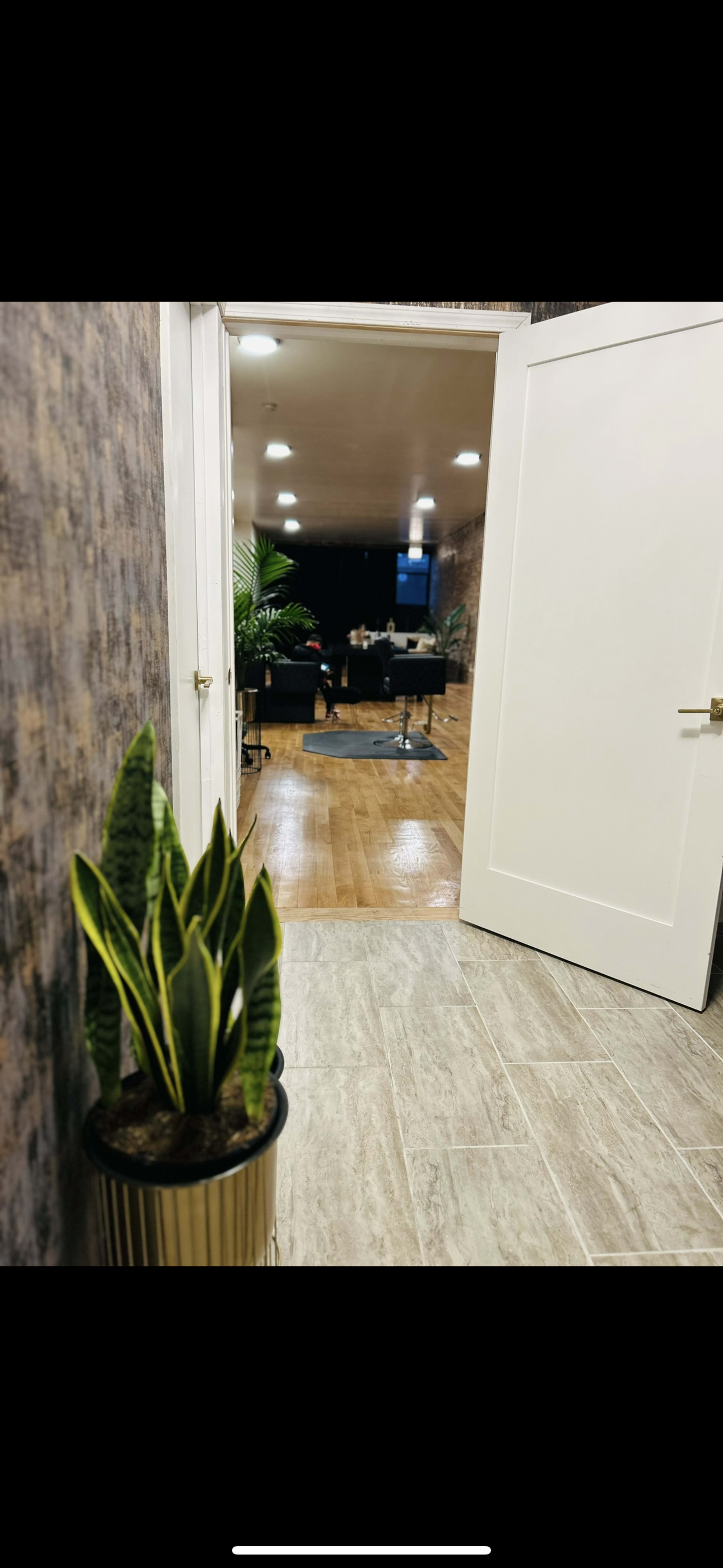 A well-lit hallway leads to a spacious room with wooden floors and plants, viewed through an open door.