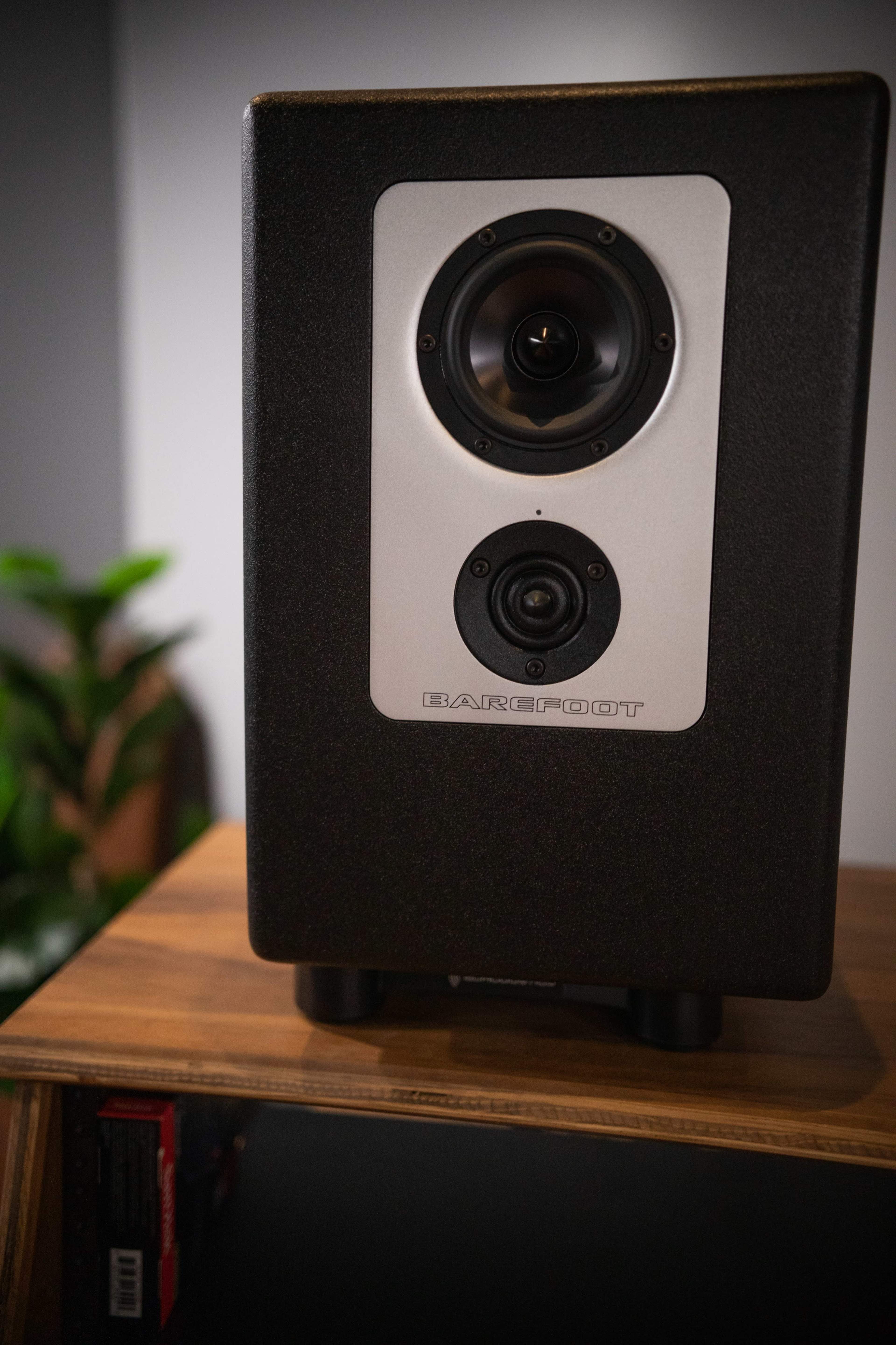 A black audio speaker with a silver front panel is positioned on a wooden shelf, with a green plant in the background.