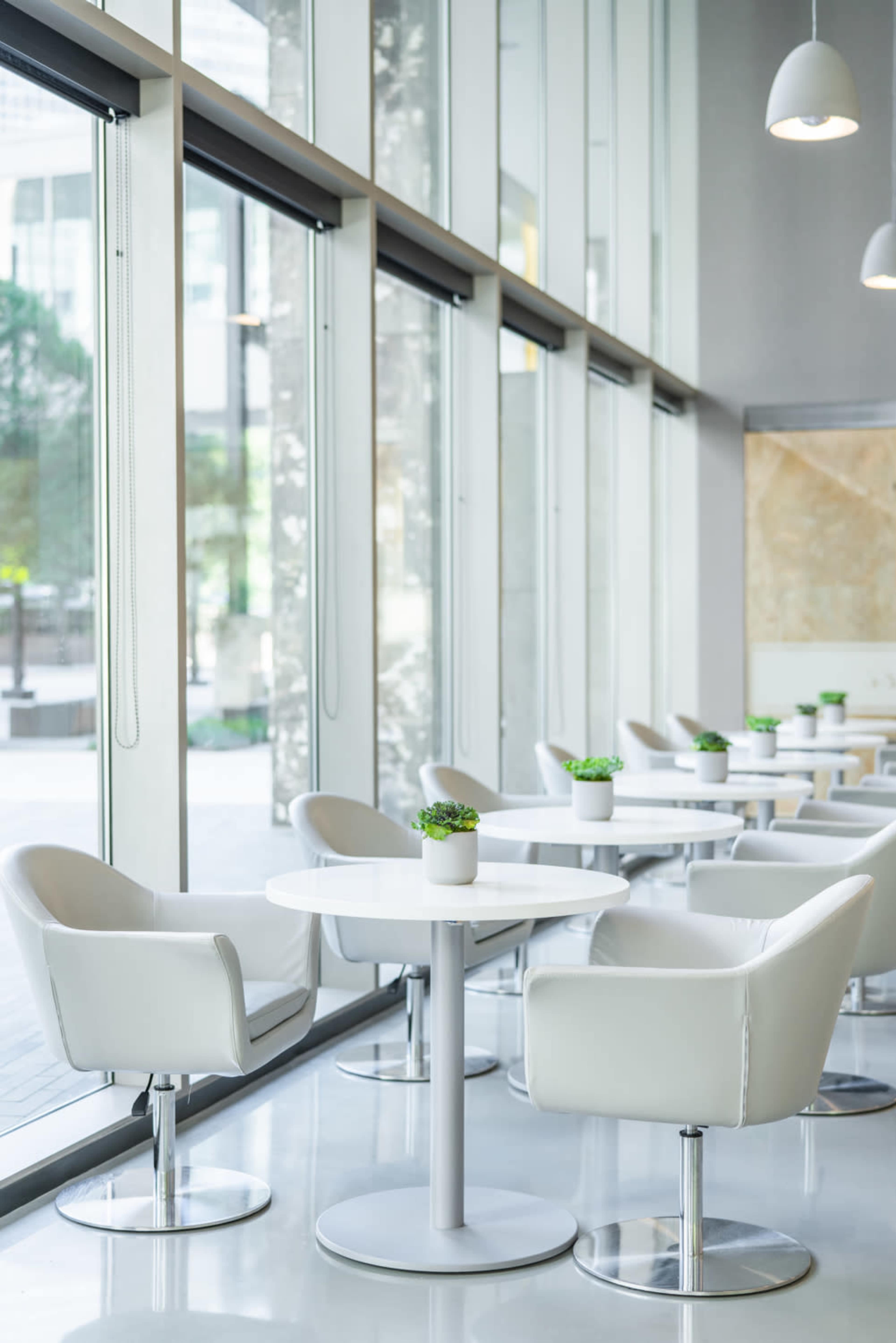 A modern café features white chairs and tables arranged near large windows, with small potted plants on each table.