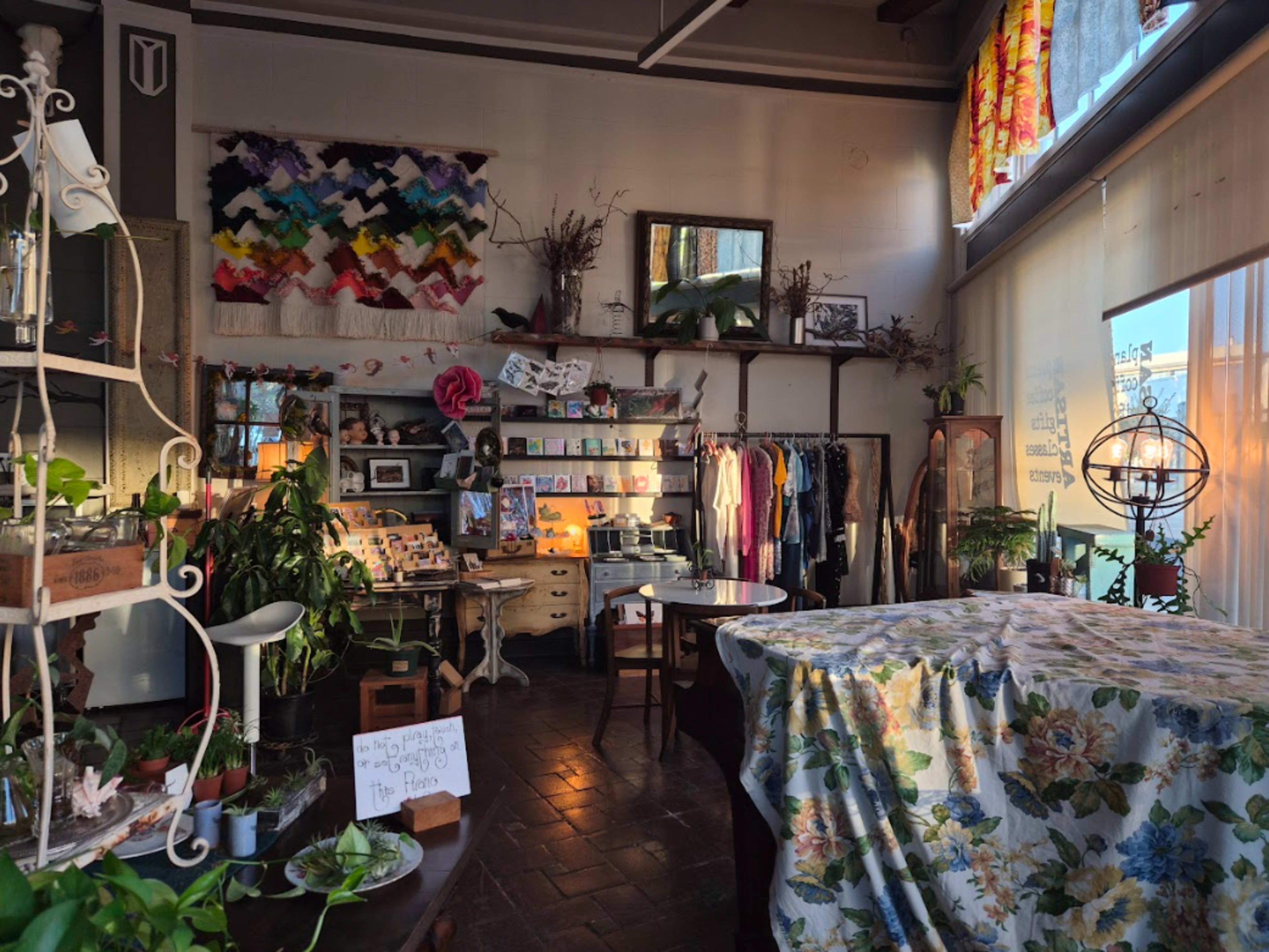 The image shows a cozy, eclectic boutique filled with clothing on racks, plants, and various decorative items, with a sunlight-filtered ambiance.