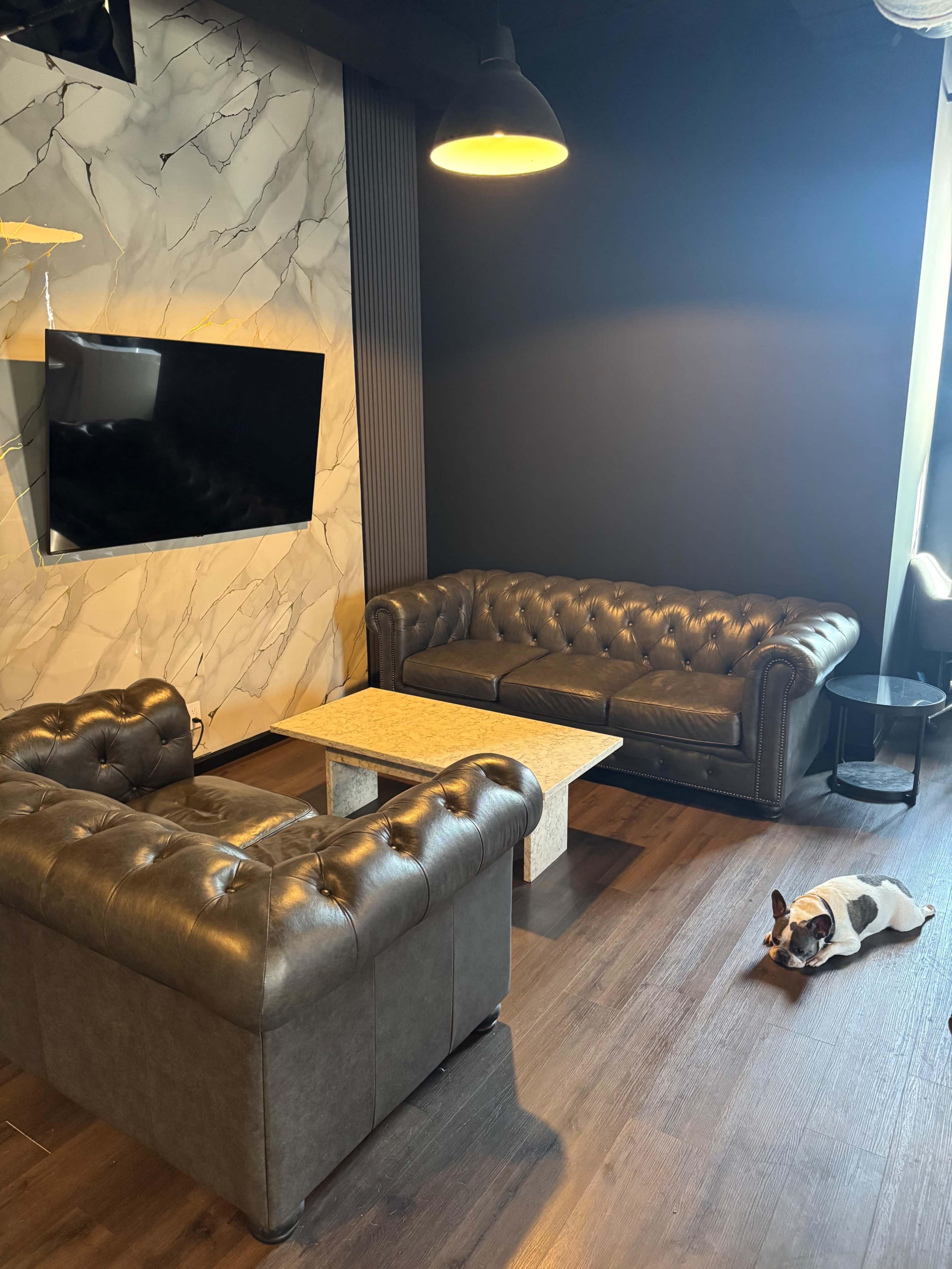 The image shows a modern lounge area with two leather couches, a marble-top coffee table, a television mounted on the wall, and a sleeping dog on the floor.