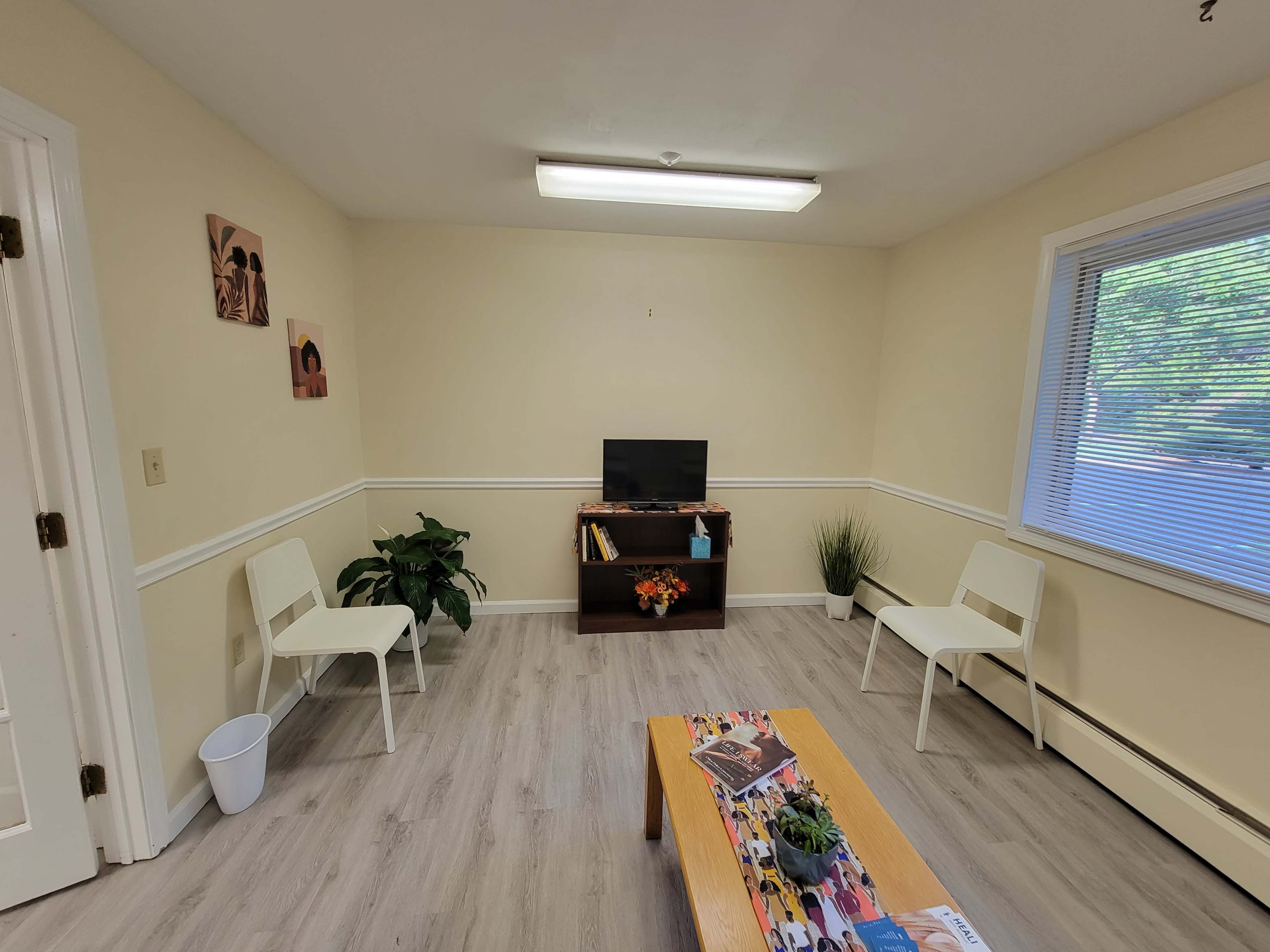 A small, well-lit room with two white chairs, a wooden coffee table, a television on a stand, and decorative plants.