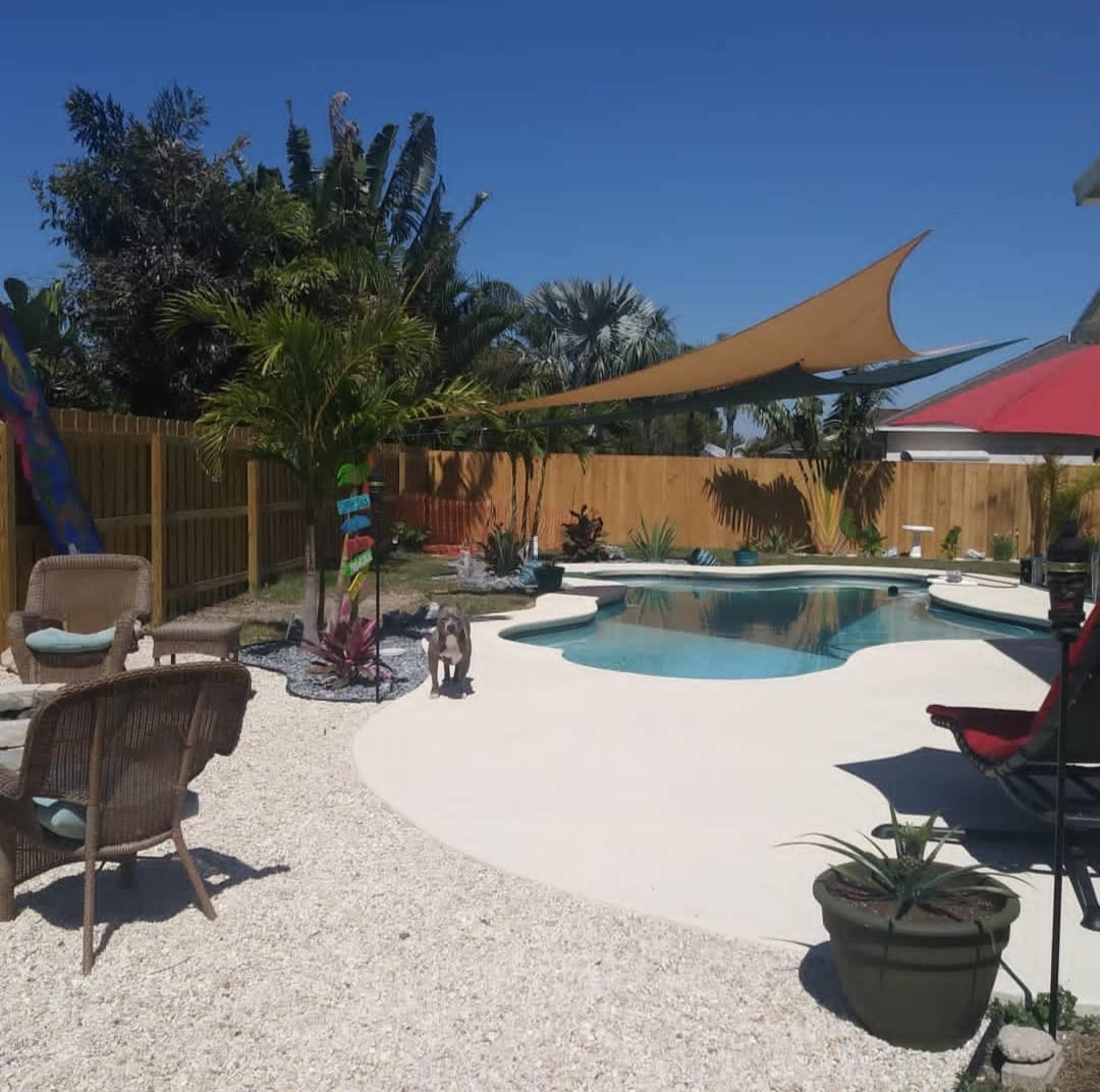 A pool area is surrounded by tropical plants, a shaded seating area, and a decorative fence under a clear blue sky.