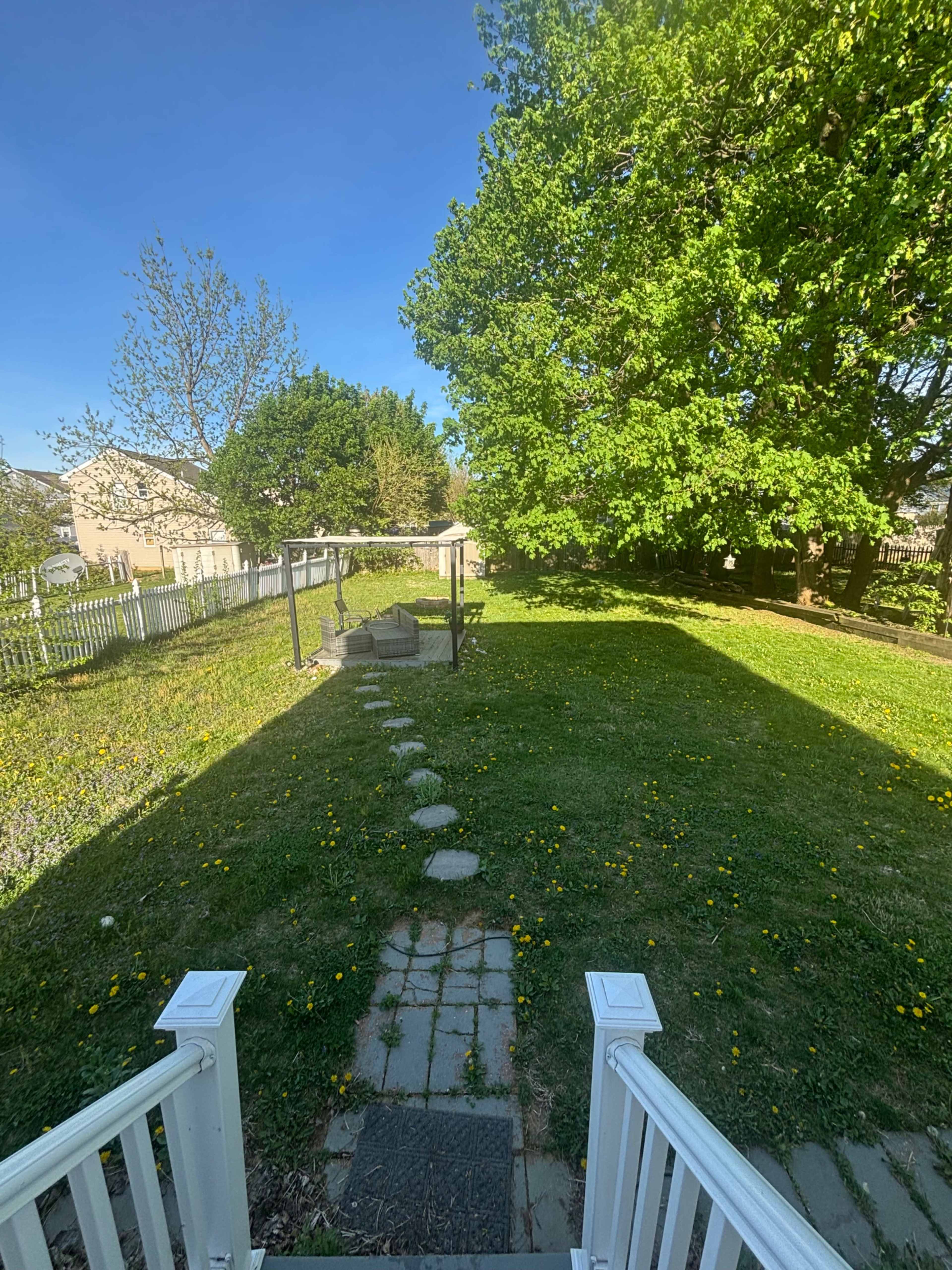 Urban/Suburban Very large private yard with lots of natural light and beautiful trees. Image in South Side, Easton, PA