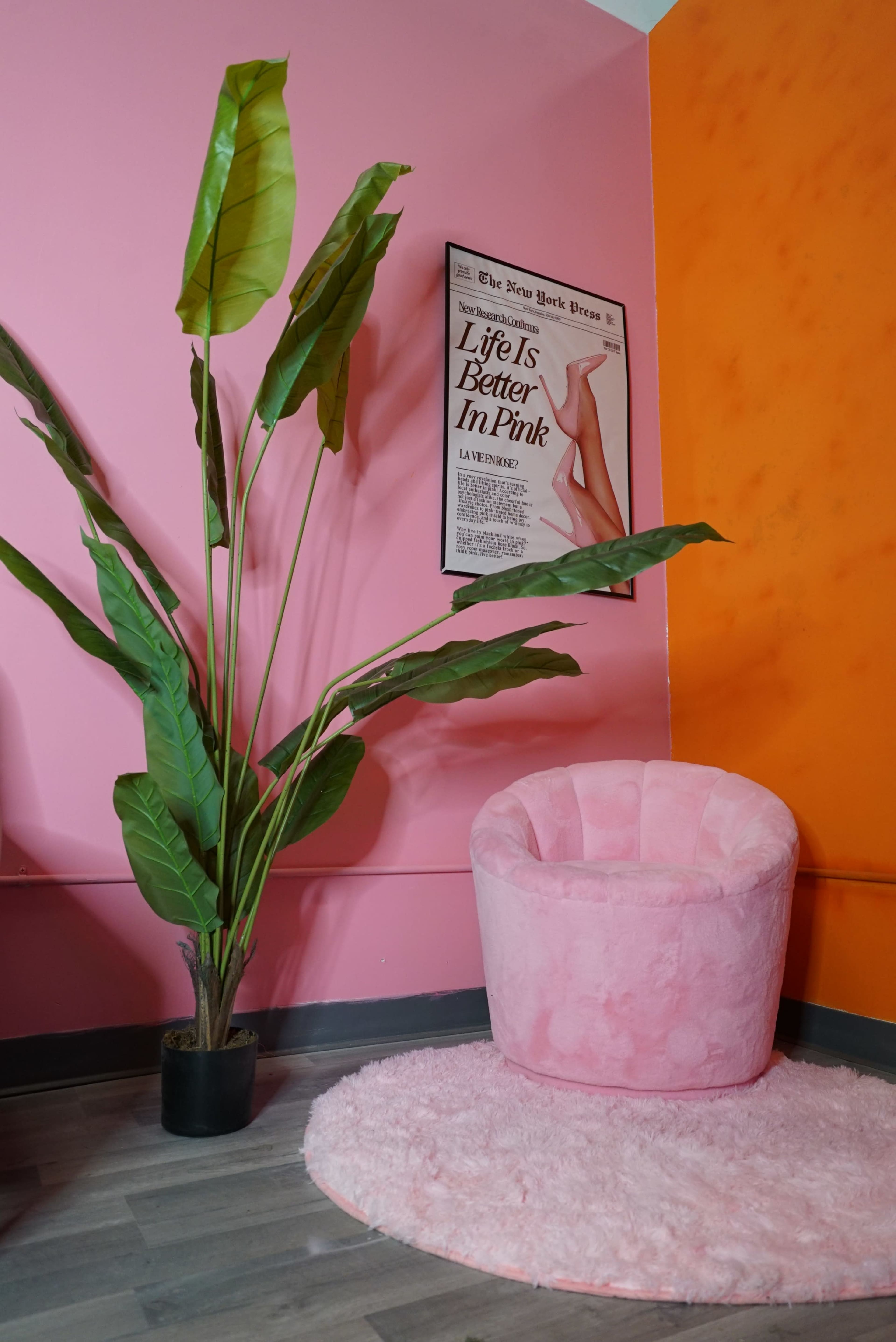 Multi-Set Color Studio for Photography, Branding and Social Content Image in Downtown West, Saint Louis, MO