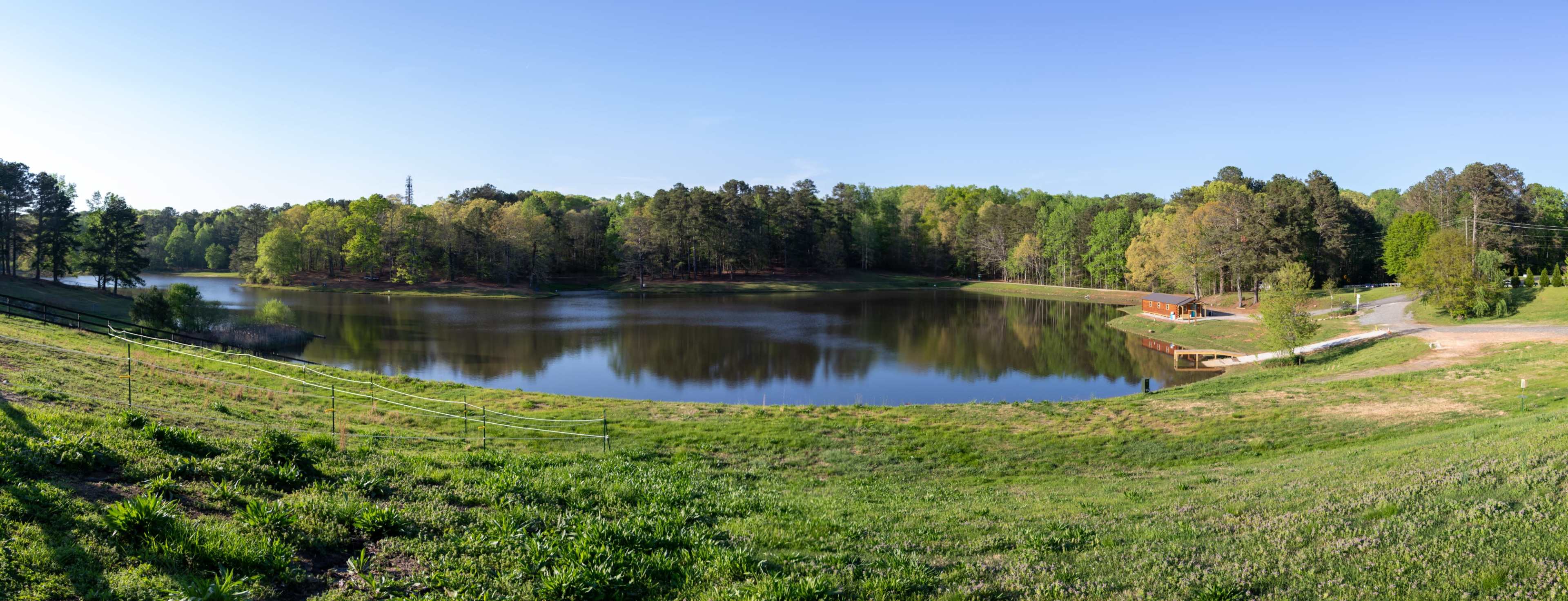 The image shows a serene lake surrounded by lush green trees and a gentle slope of grass leading to the water's edge.