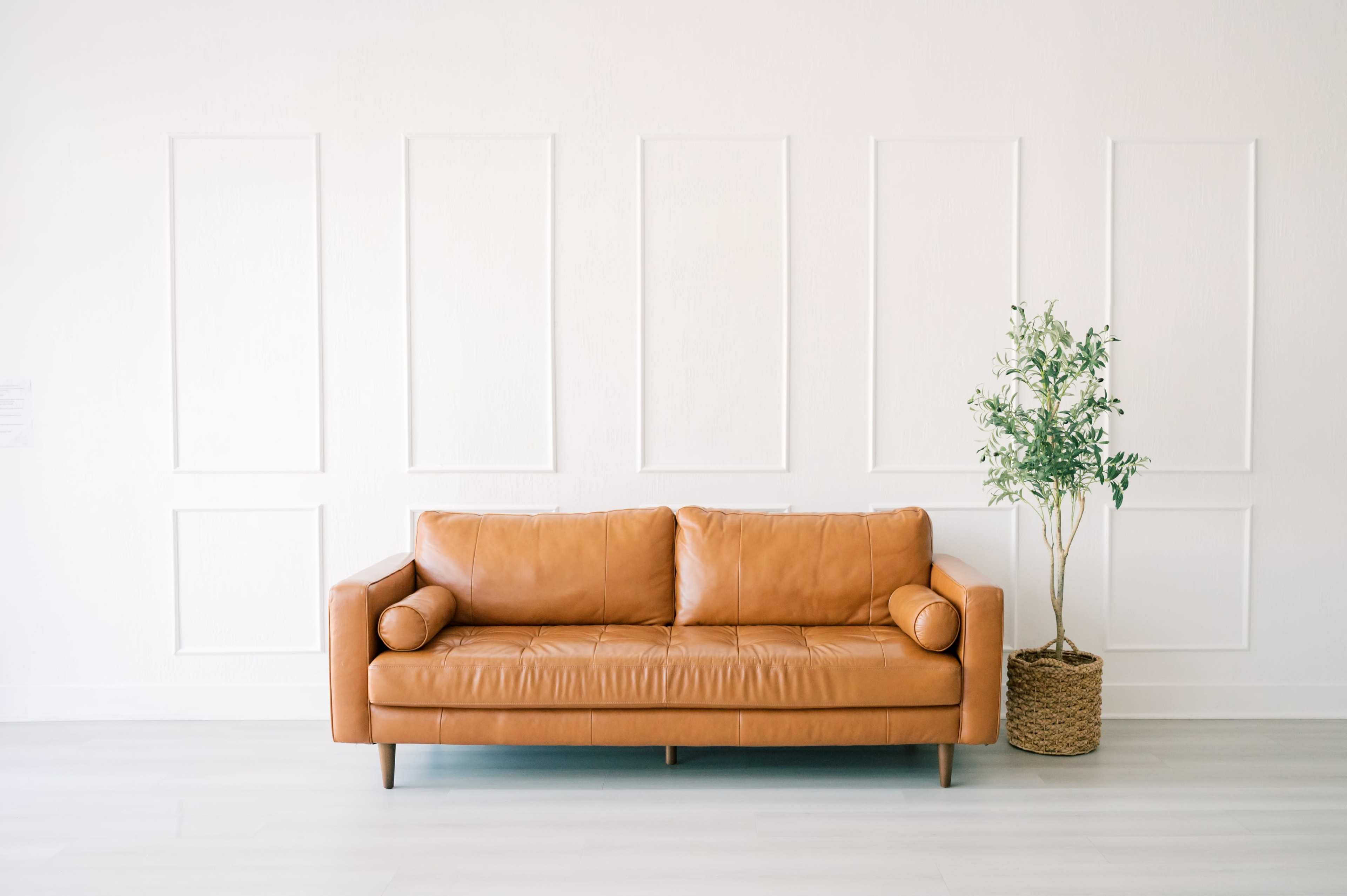 A brown leather sofa is positioned in front of a clean white wall adorned with rectangular paneling, alongside a potted plant in a woven basket.