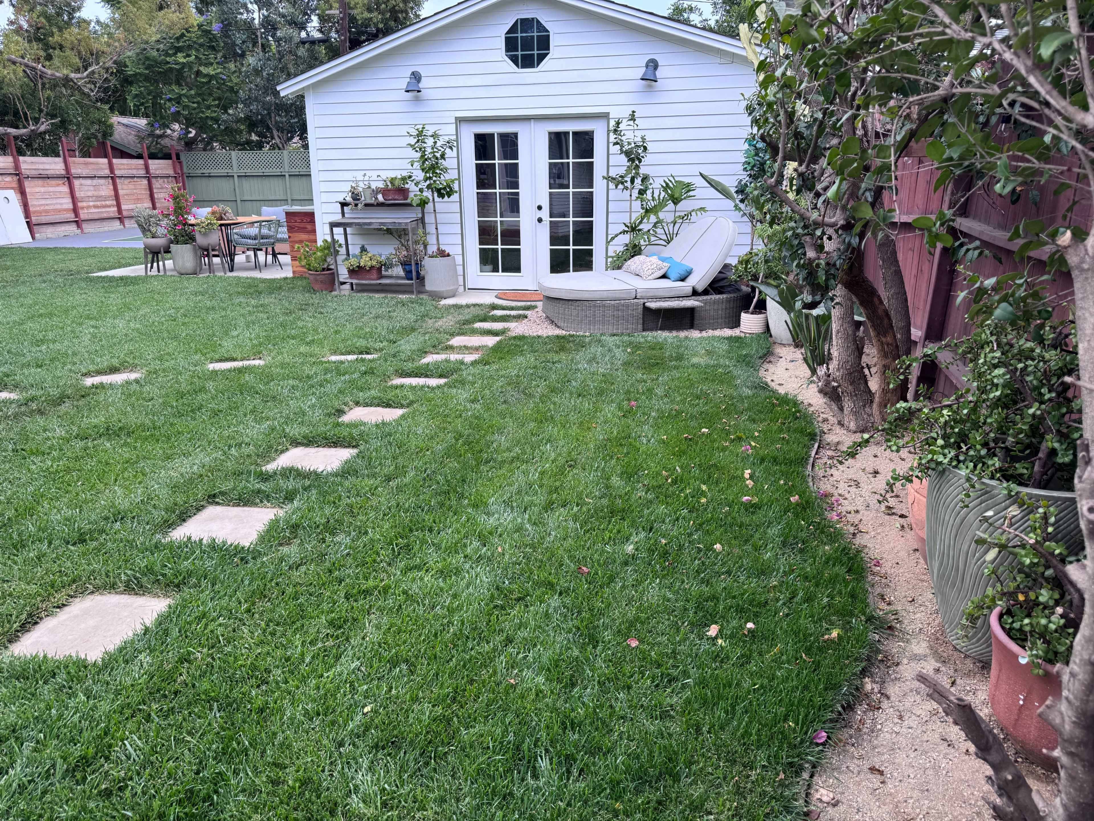 The image shows a backyard with a neatly manicured lawn, stone pathways leading to a small white shed, and various plants and outdoor furniture around the area.