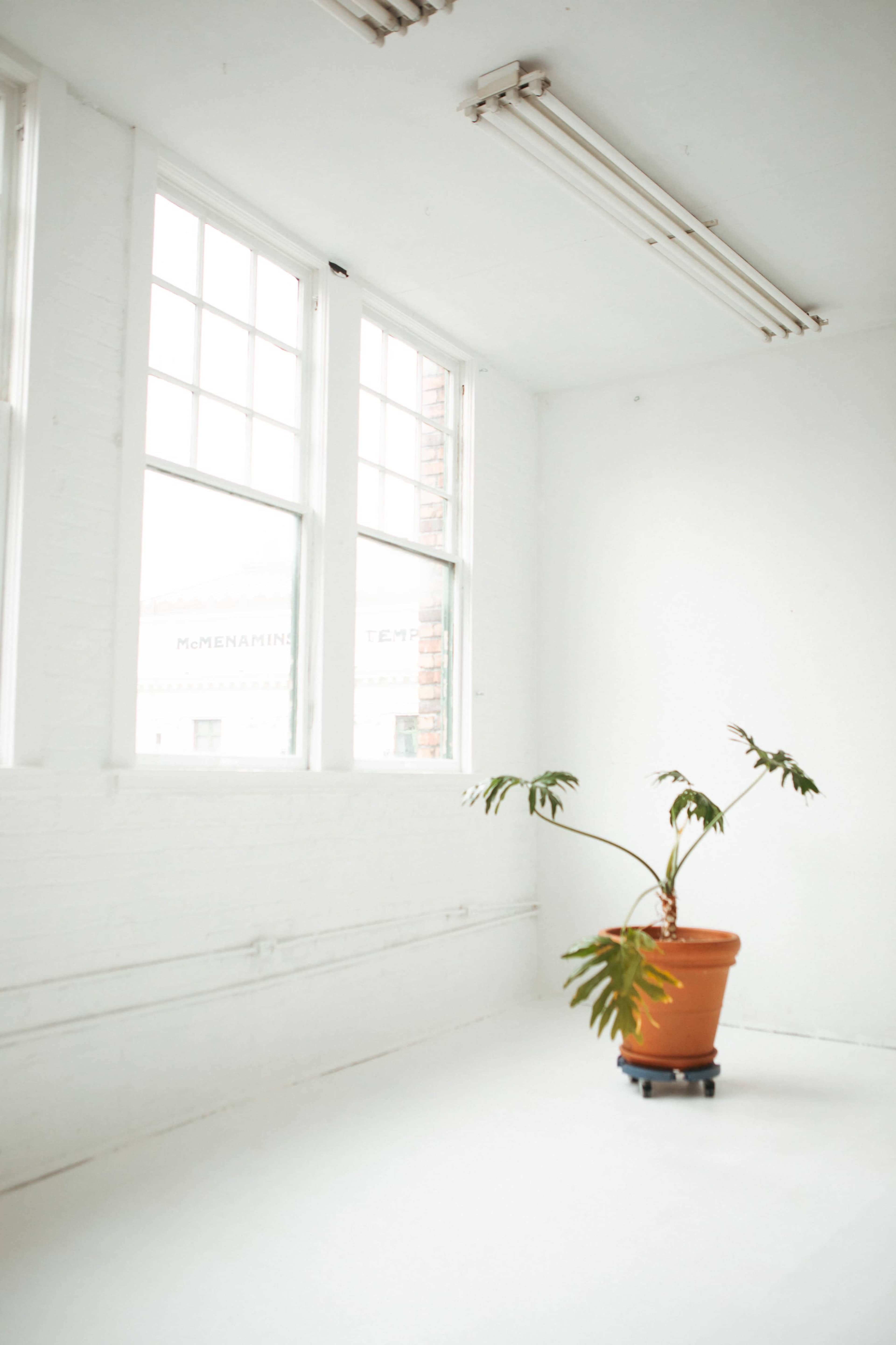 NEW Natural Light Studio + Creative Space Image in New Tacoma, Tacoma, WA