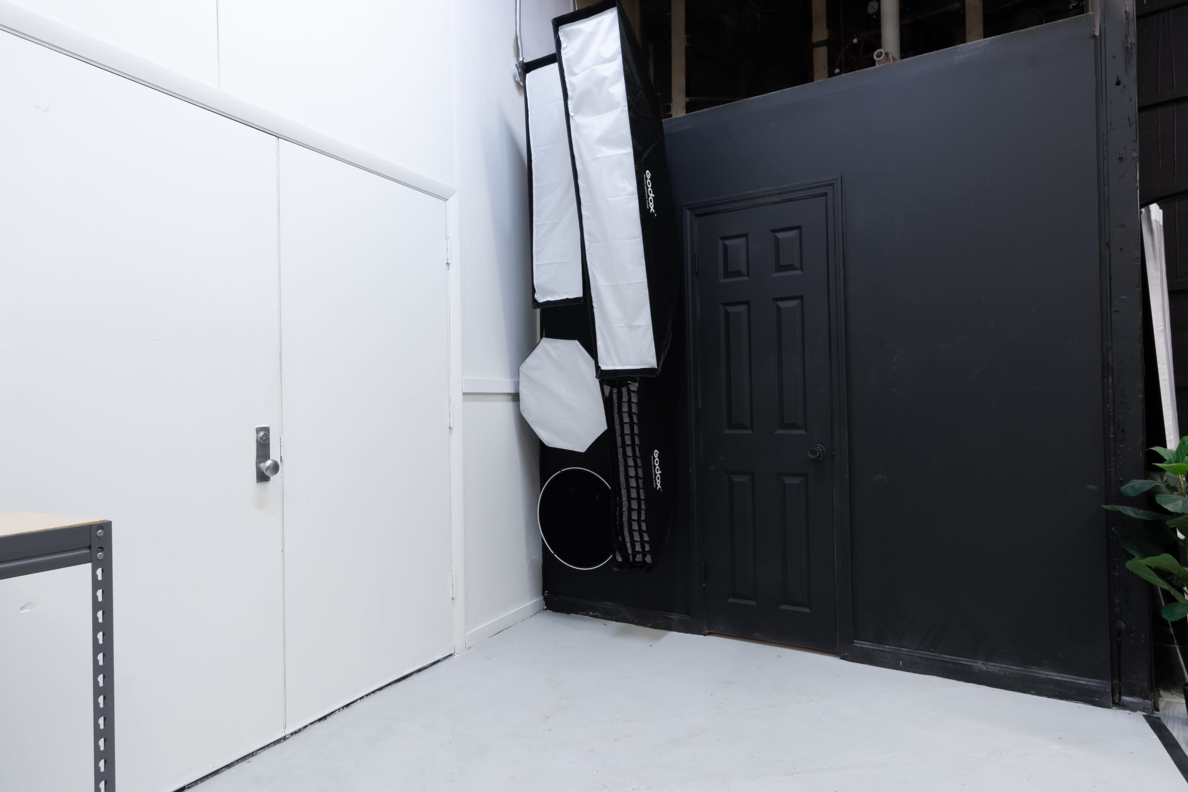 A corner of a room with a white wall and a black door, alongside a collapsed softbox light and some greenery.