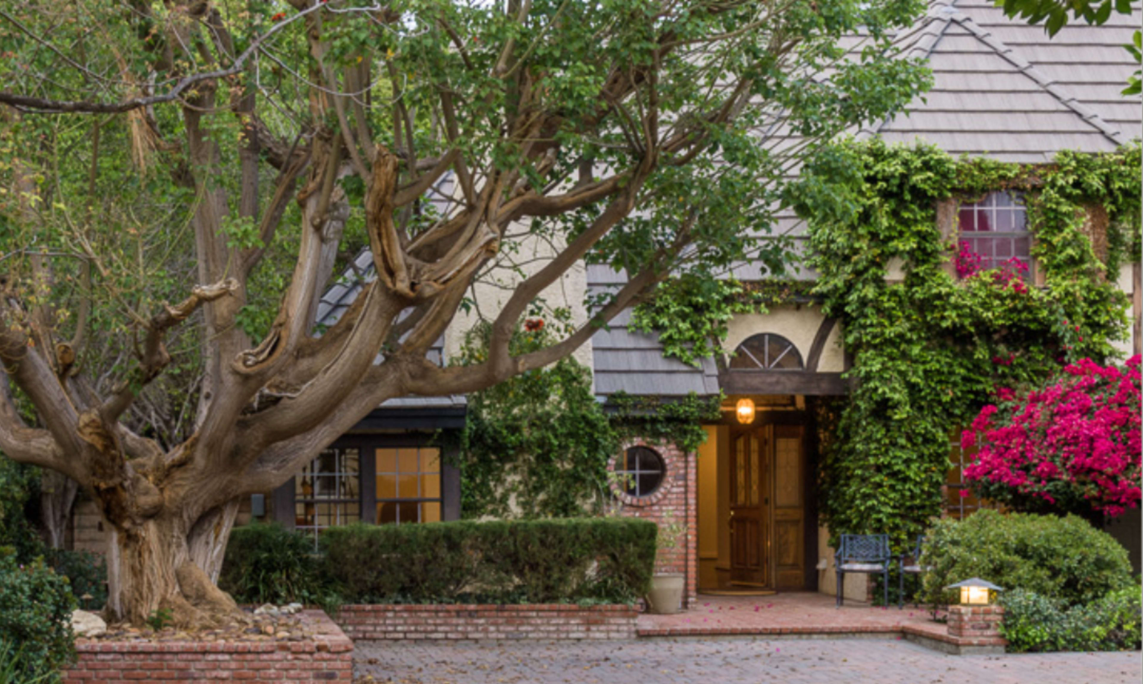 A house with ivy-covered walls and a large tree is set in a landscaped garden.