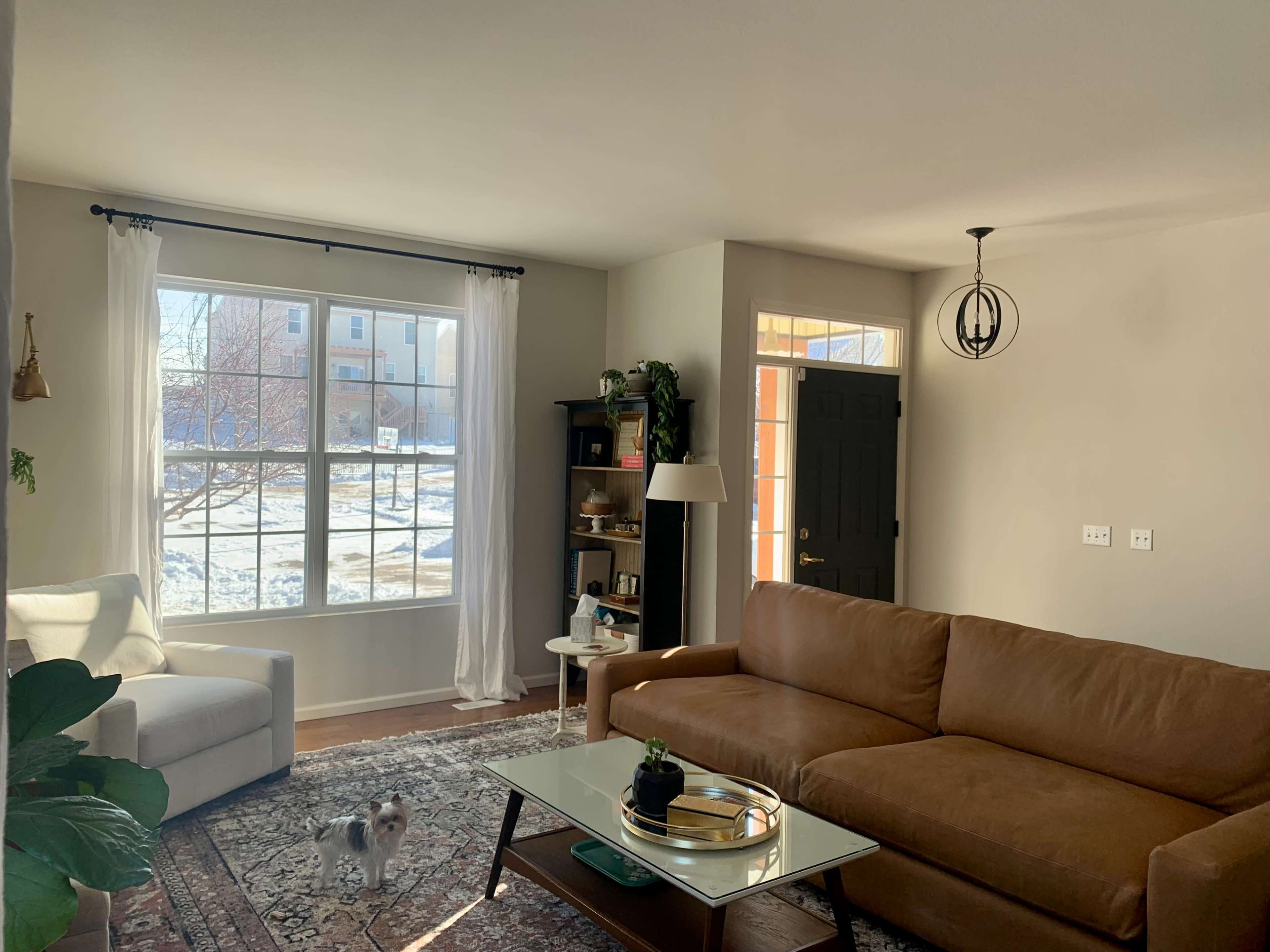 A living room with a large window, a brown couch, a white armchair, and a small dog on a patterned rug.