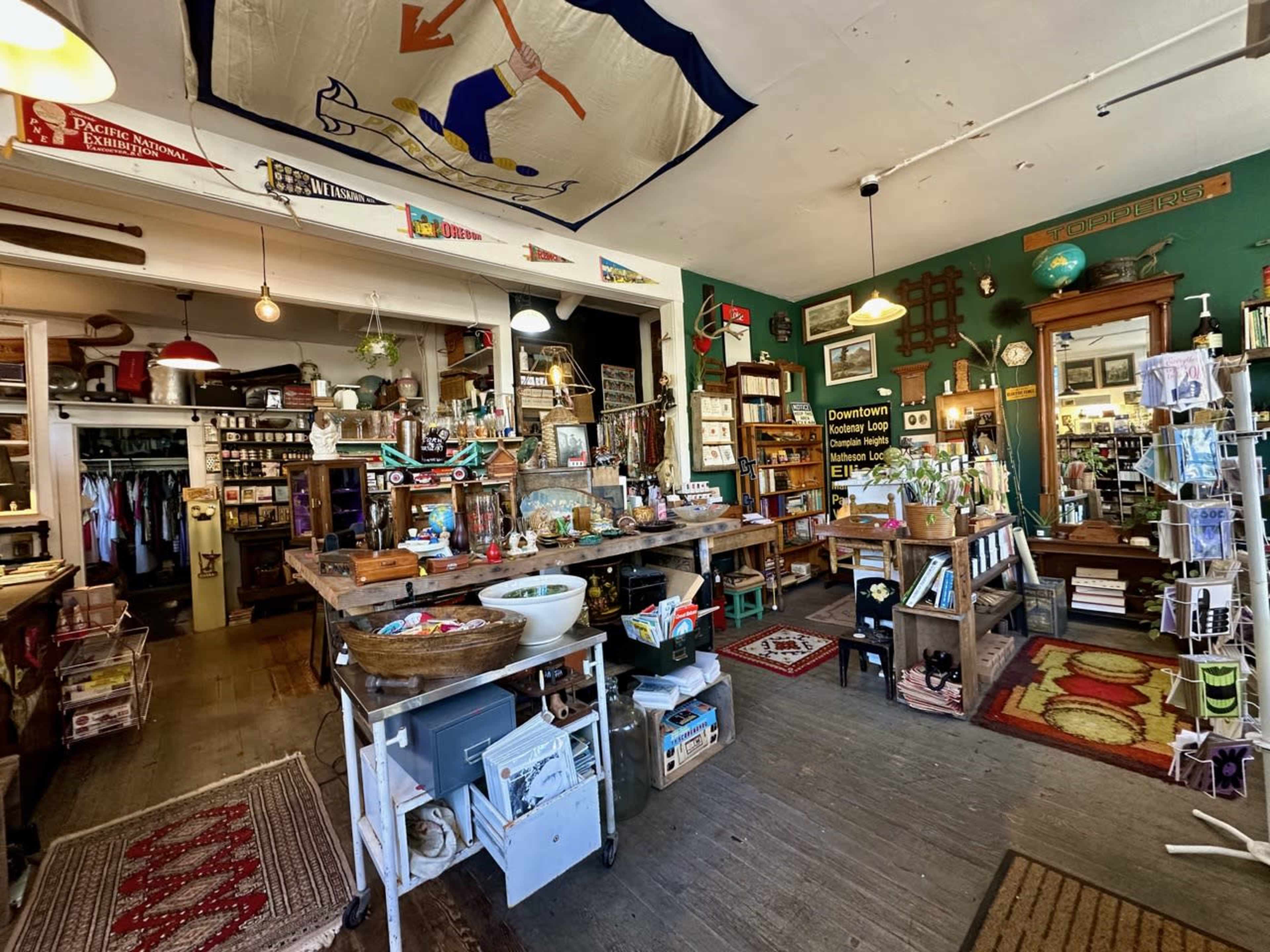 Vintage plant paradise in heritage shop that feels like home Image in Grandview-Woodland, Vancouver, BC