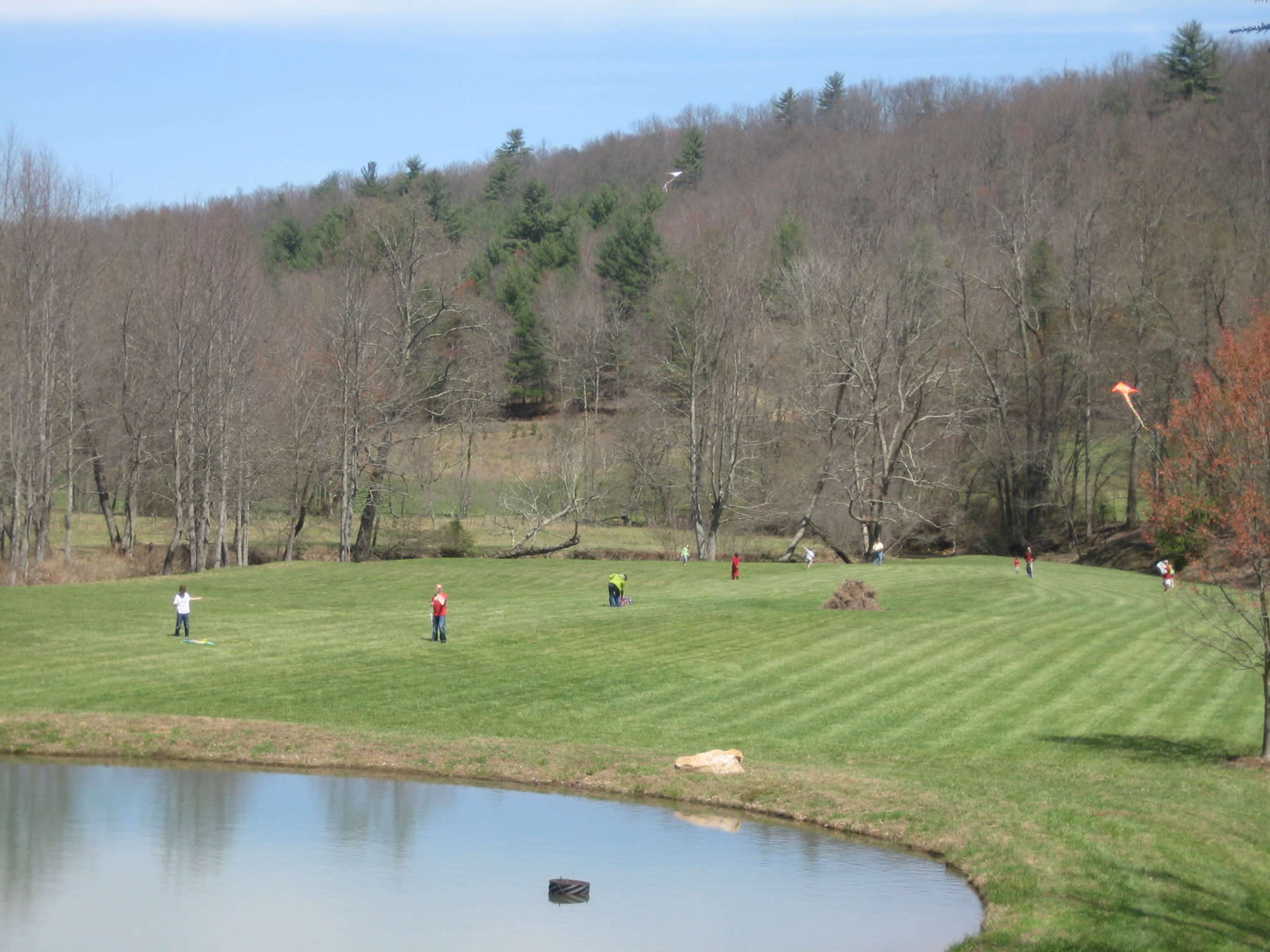 Creekside Pasture with Pond Surrounded by Mountains Image in , Cherry Log, GA
