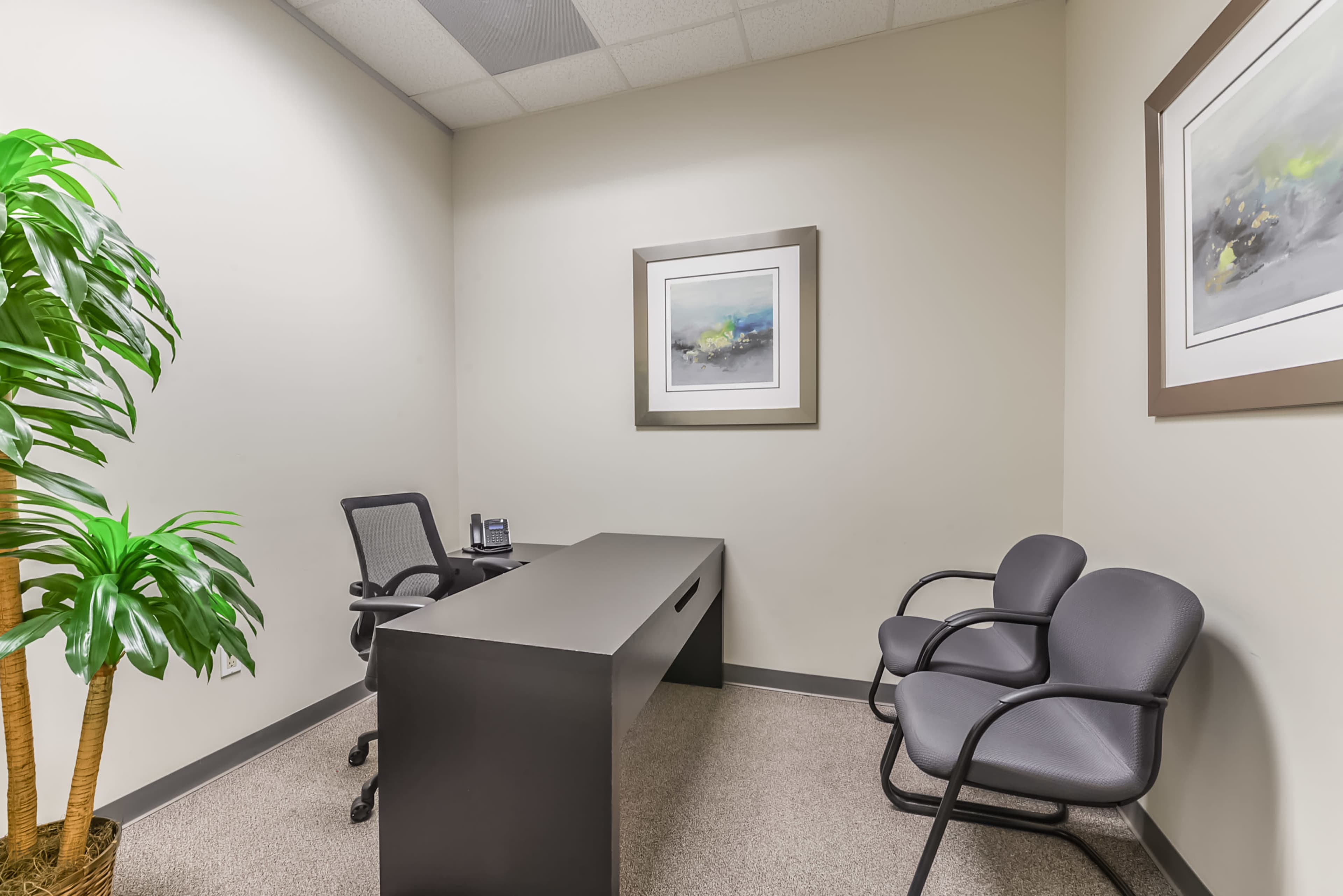 A small office features a black desk, two gray chairs, a potted plant, and framed artwork on the walls.