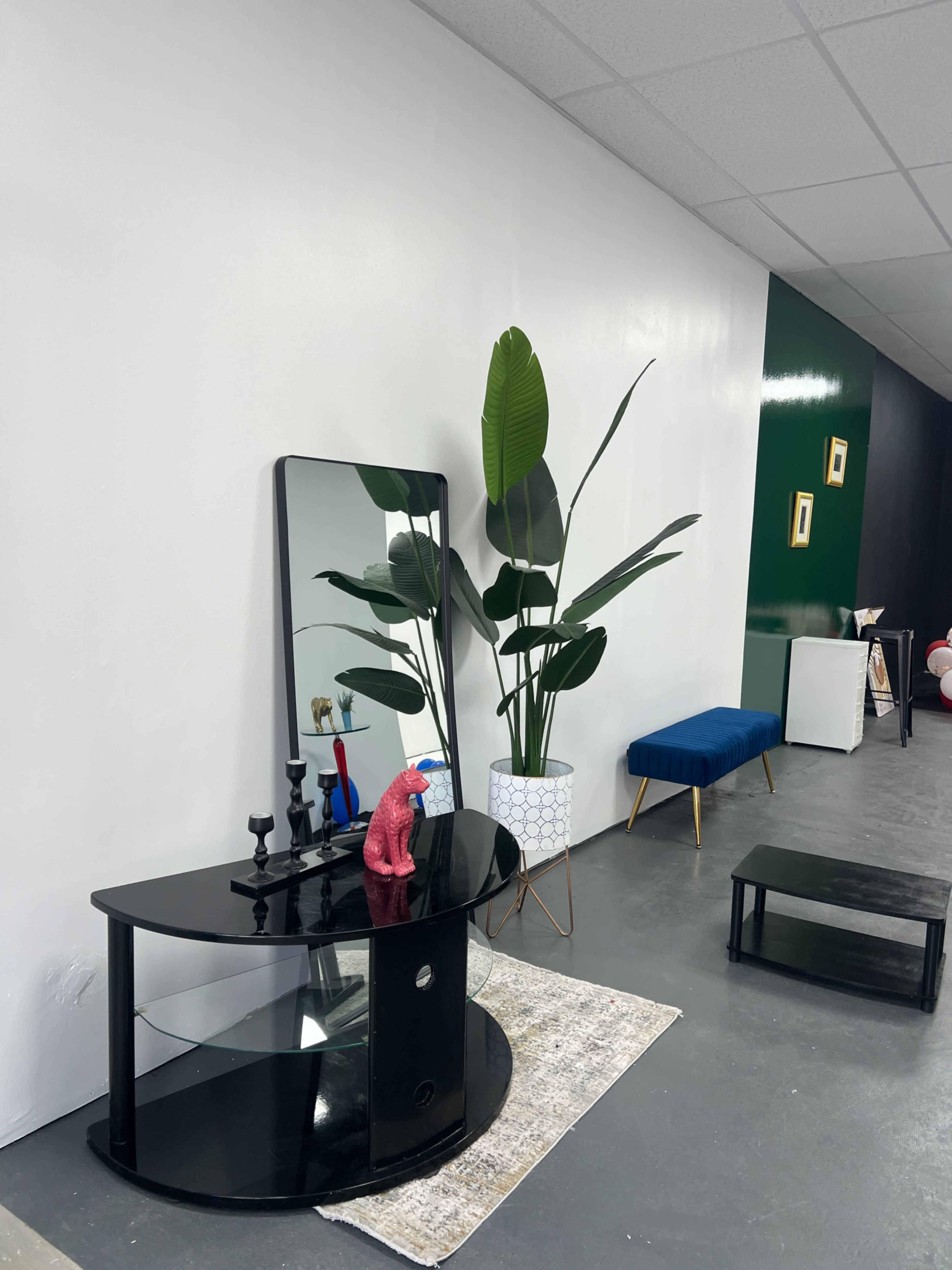 Spacious Downtown Studio with Styled Sets Image in North Oakland, pittsburgh, PA