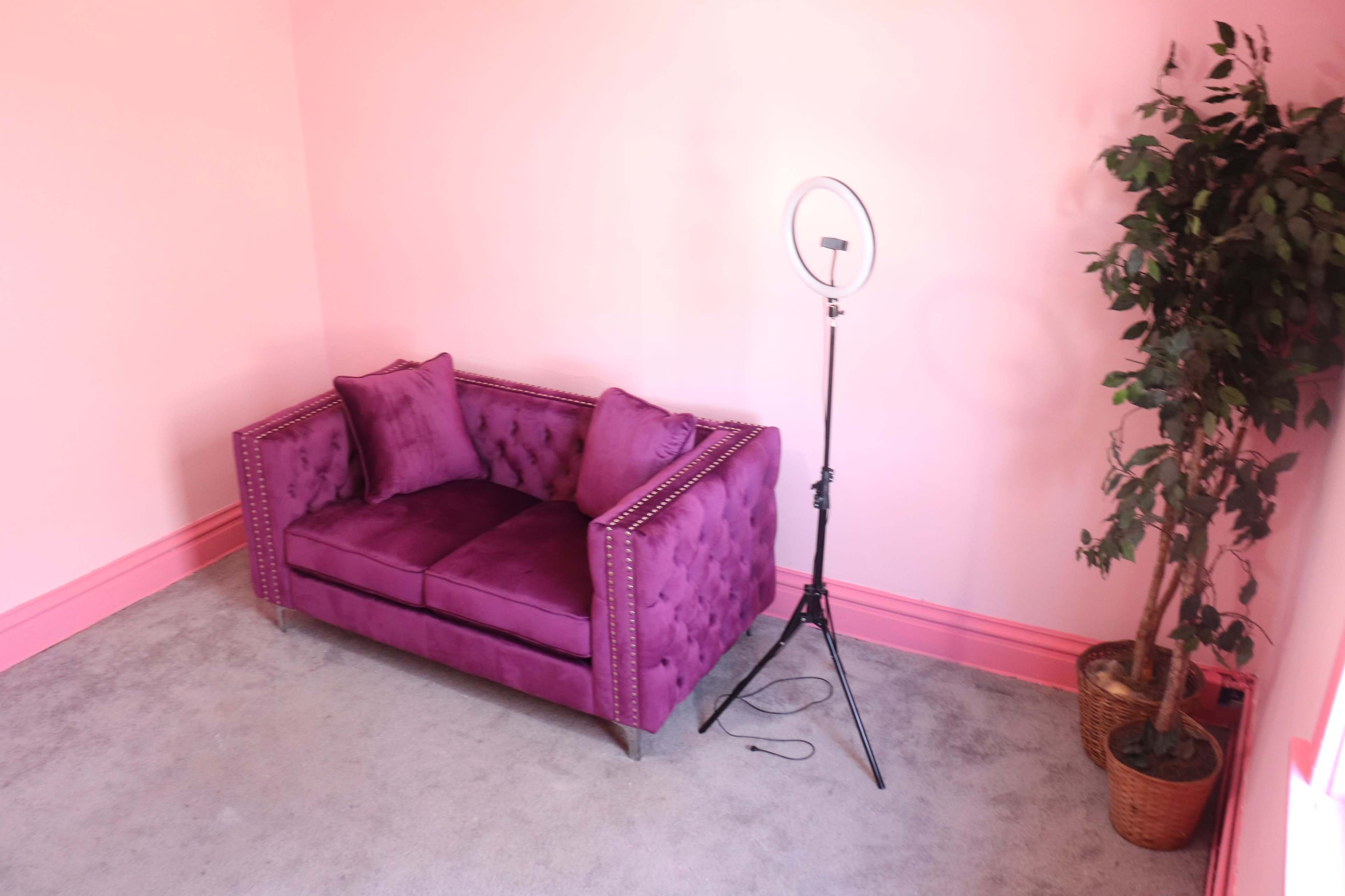 A purple tufted sofa with two cushions is positioned next to a ring light and a potted plant in a pink-walled room.