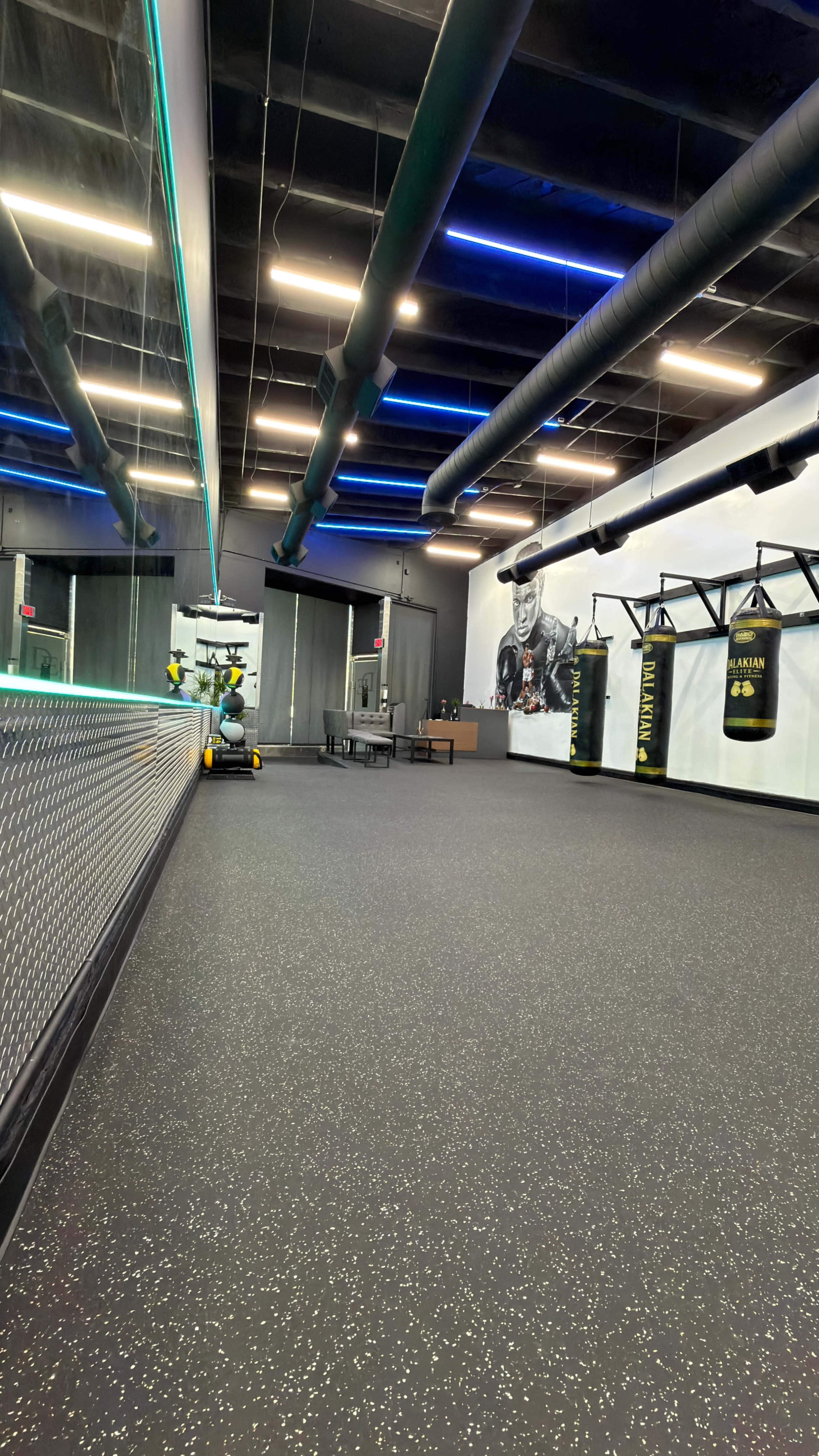 The image shows an open gym space featuring black flooring, boxing bags hanging on the wall, and a mirrored section with fluorescent lighting.